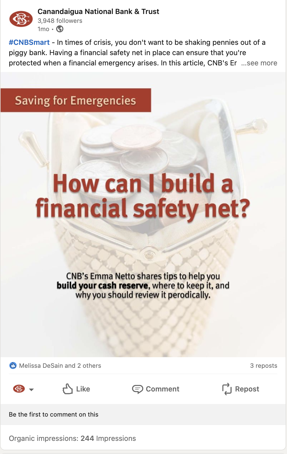 CNB Article - Safety Net.png