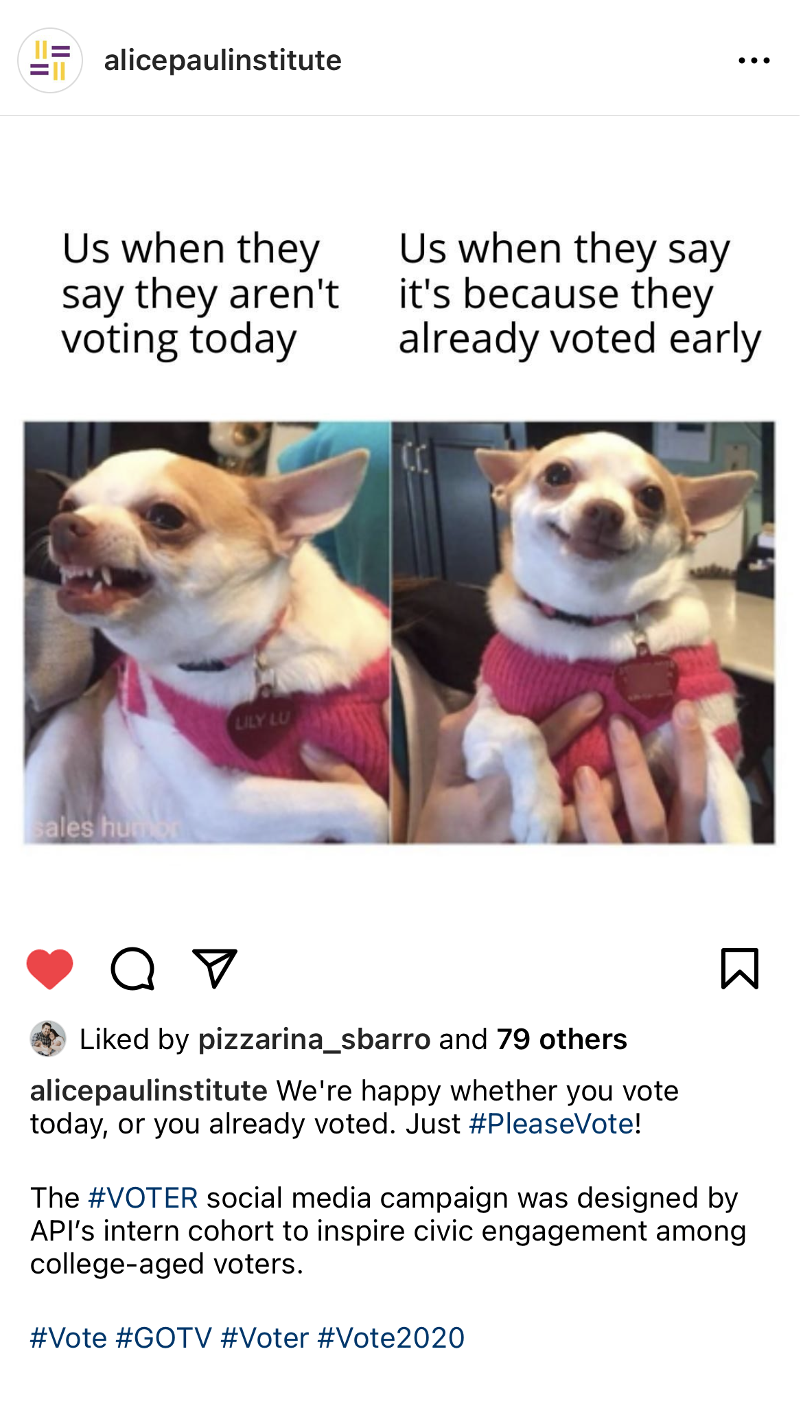 API IG Voting Memes 2.png