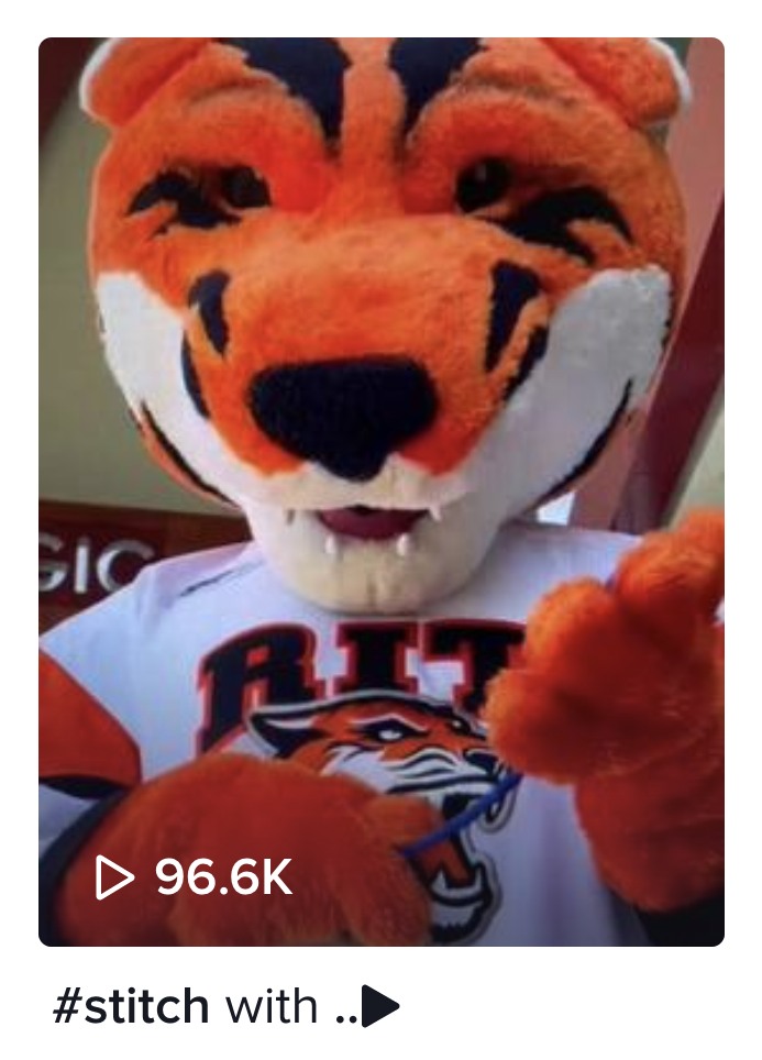 RIT TT Fly Swatter .png