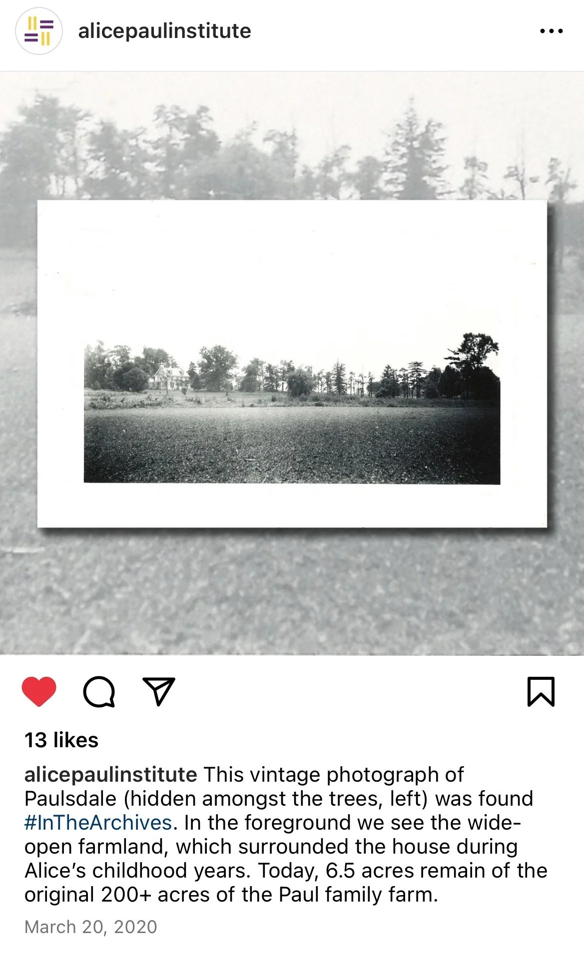 API IG In the Archives 23.JPEG