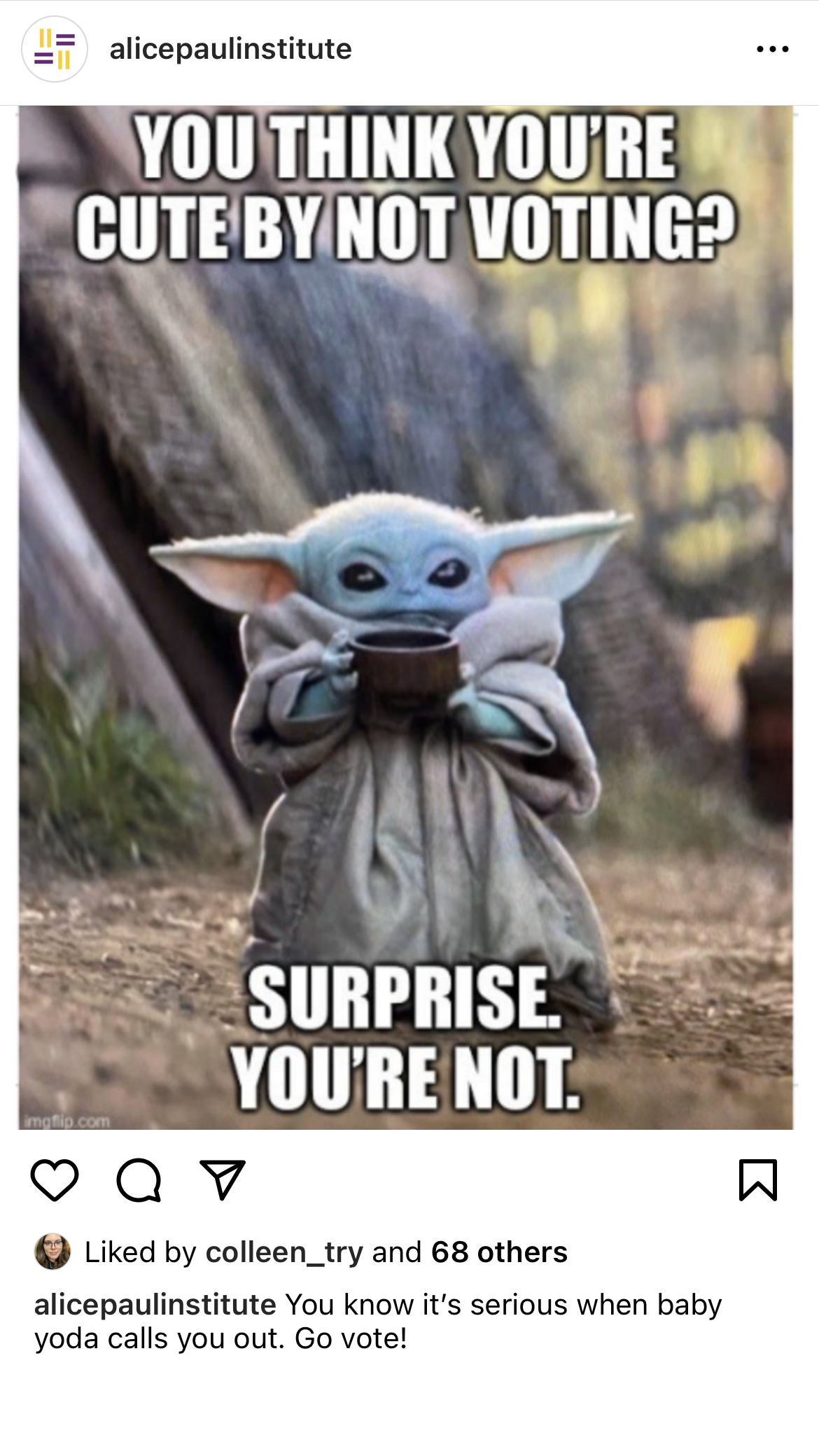 API IG Voting Memes 13.png