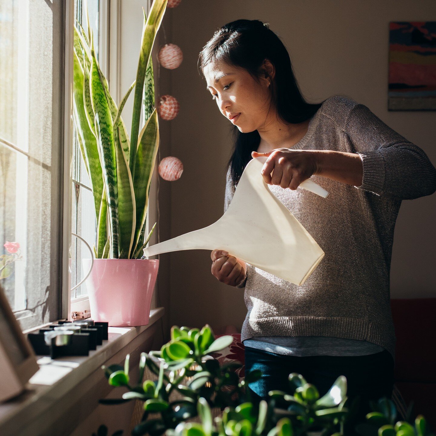 NEW BLOG POST: 6 Tips For Caring For Indoor Plants
.
https://thegardenpath.com.au/blog/
.
.
.
.
.
#indoorpots #indoorplantpots #indooroutdoorpots #indoorpotsonline #indoorpotsandplanters #sydney #plant #indoor #plants #indoorplants #officedesign #int