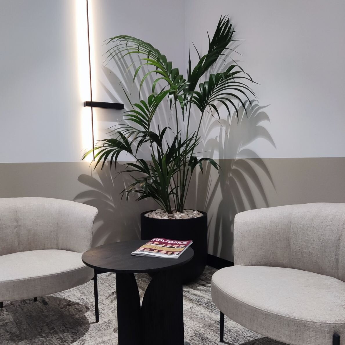 Kentia palms in matte black tub planters from @indoor_pot_supply_co topped with natural white pebbles - A nice selection by The National Insurance Brokers Association in Sydney👌
.
.
.
.
.
#indoorpots #indoorplantpots #indooroutdoorpots #indoorpotson