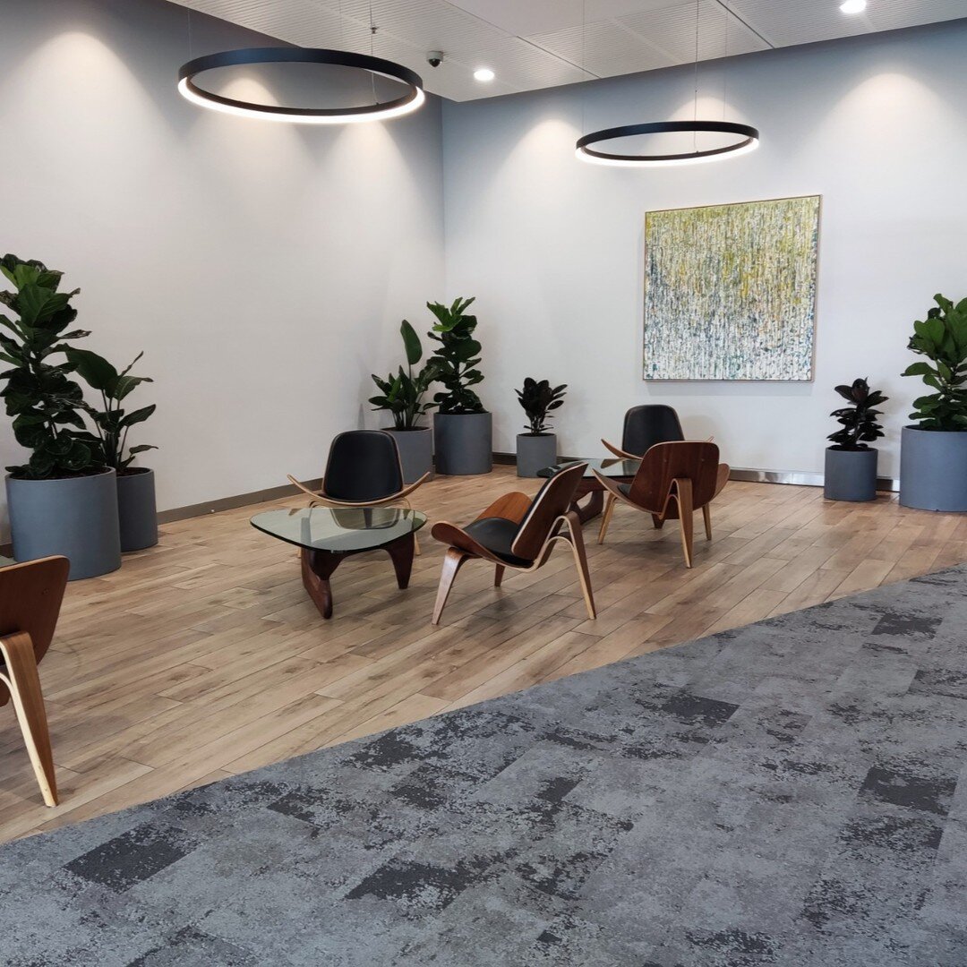 A few pics from last Friday's install...
Pots courtesy of @indoor_pot_supply_co 
.
.
.
.
.

indoorpots #indoorplantpots #indooroutdoorpots #indoorpotsonline #indoorpotsandplanters #sydney #plant #indoor #plants #indoorplants #officedesign #interiorfi