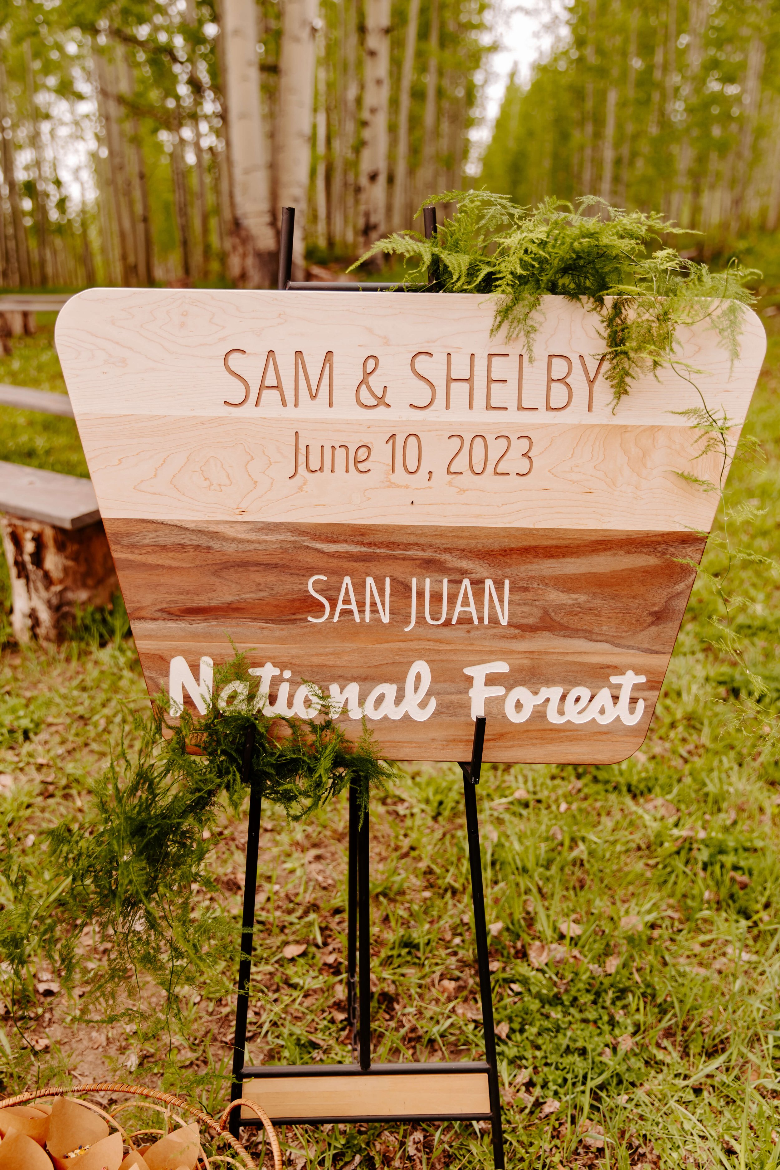Shelby_Sam_Wedding-203.jpg