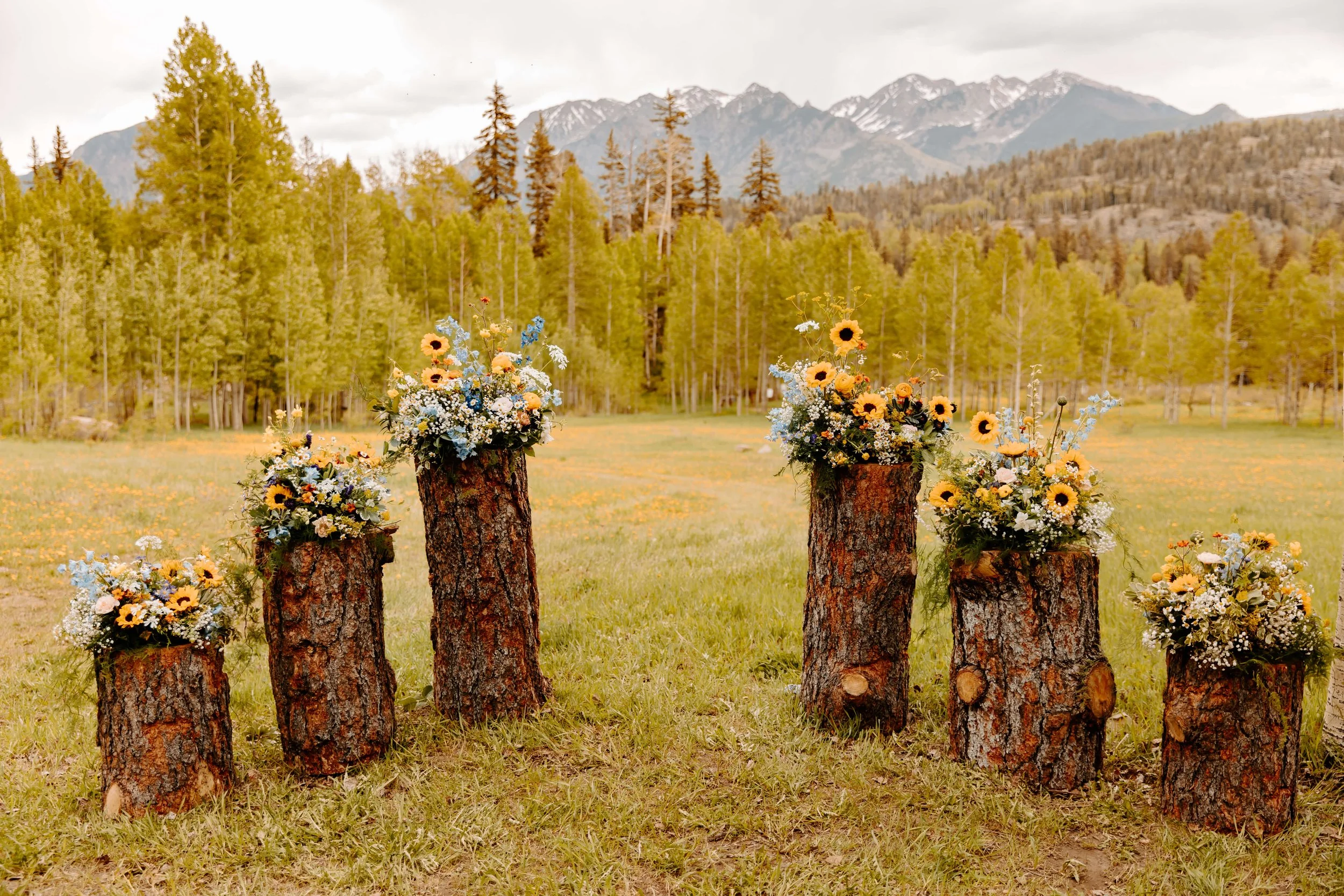 Shelby_Sam_Wedding-207.jpg