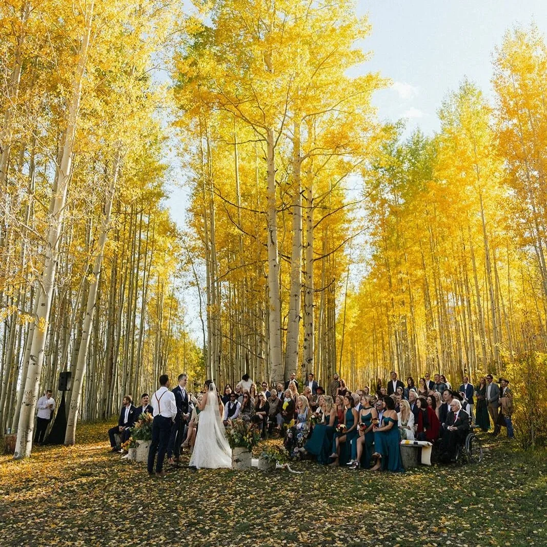 Jamie-McClain-BDL-Wedding-SneakPeeks-1076.jpg