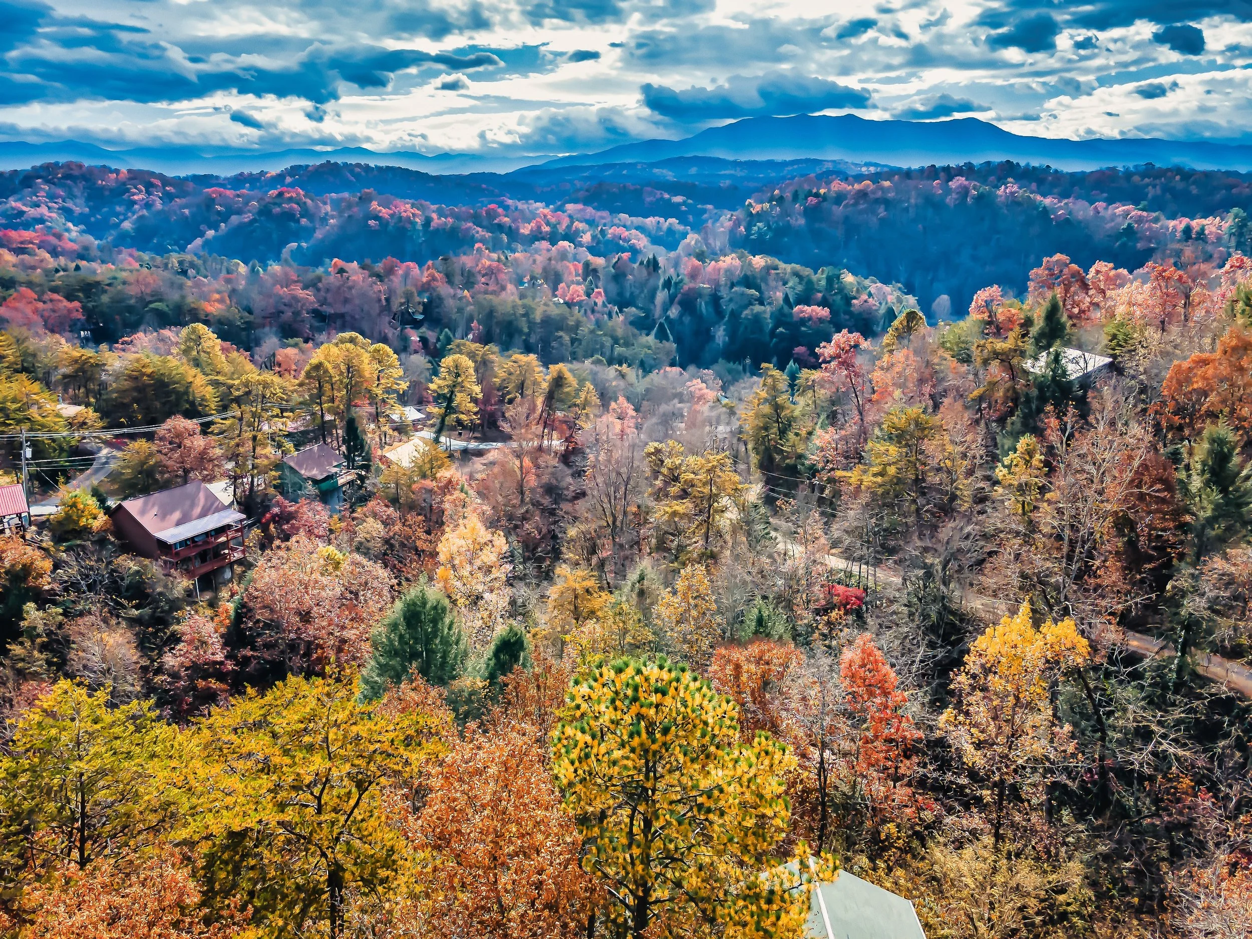 A scenic view of a colorful autumn forest with houses and rooftops visible among the trees, with mountains in the background under a partly cloudy sky.