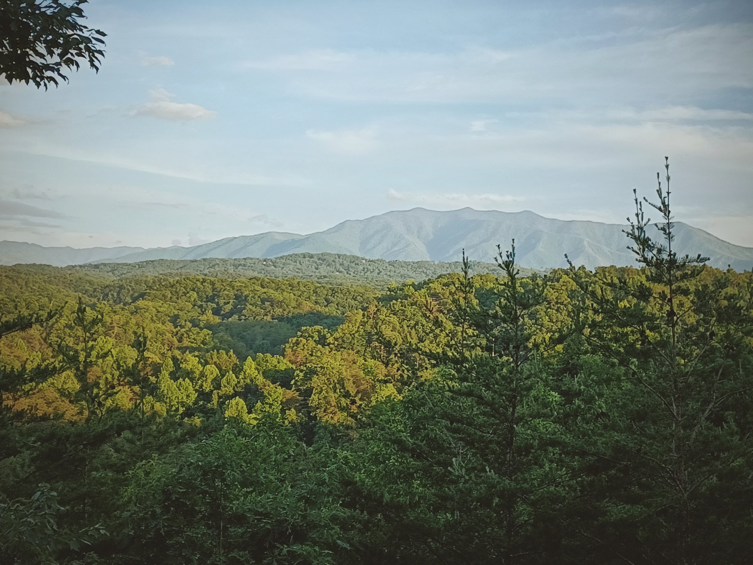 Scenic view of a mountain range in the distance with a forest in the foreground, under a sky with clouds.