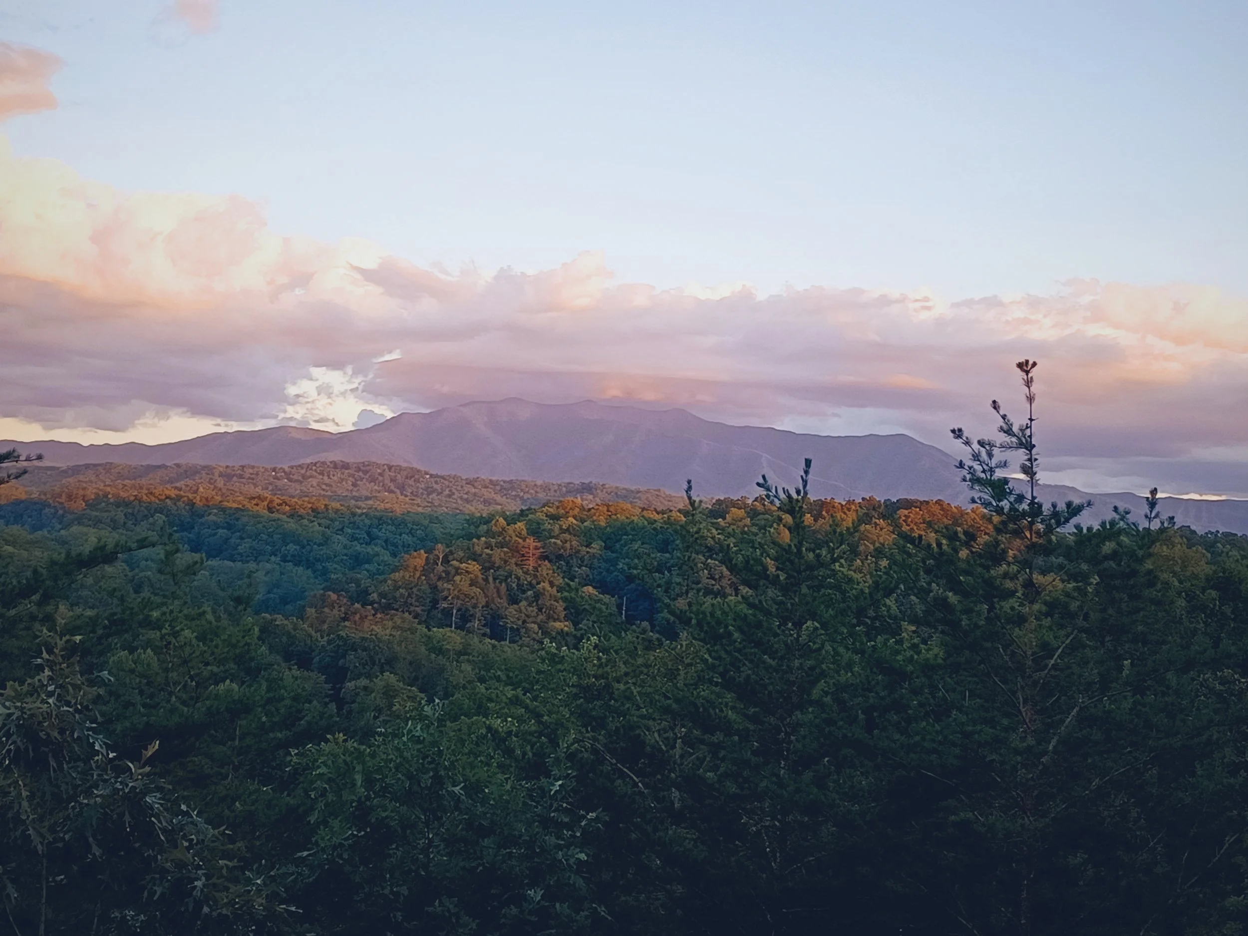 Scenic view of a mountain range with a colorful sunset sky and scattered clouds above a dense, green forest.
