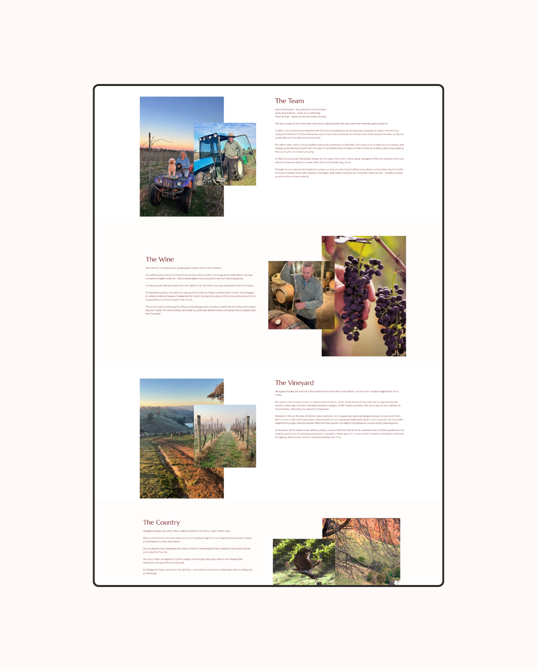 a snapshot of wedgetail estate's website