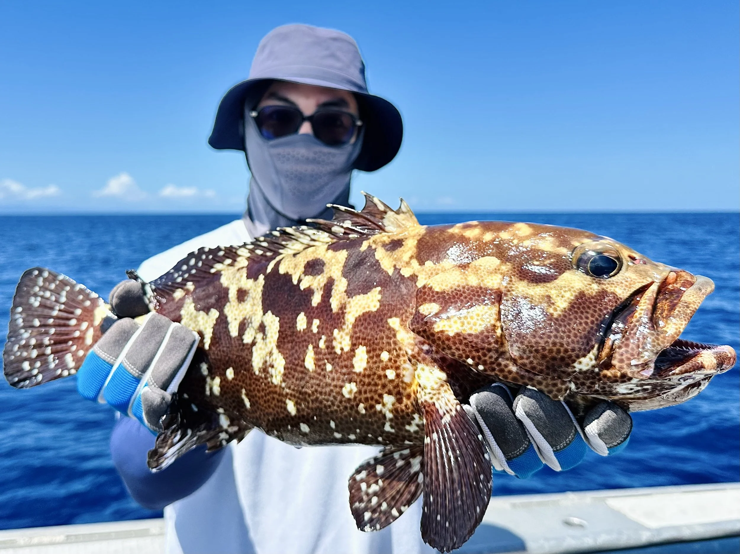 Gary with a camouflage grouper.