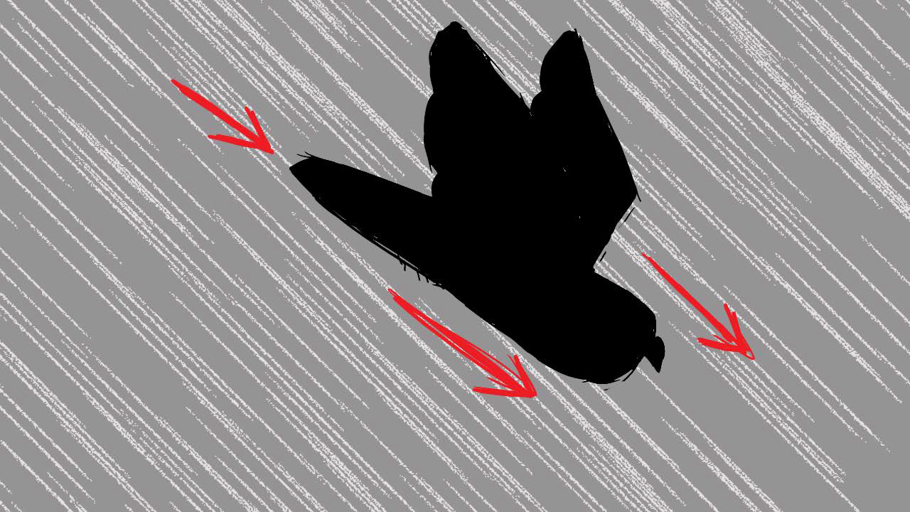 STORYBOARD_STORY_v005_Page_063_Image_0001.png