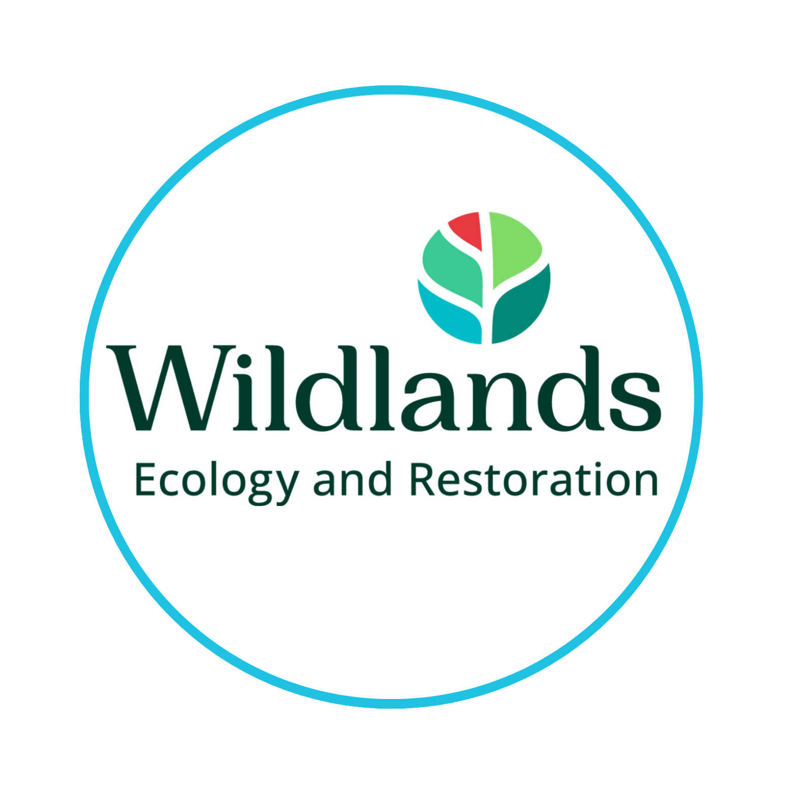 Logo Wildlands in white circle with blue frame