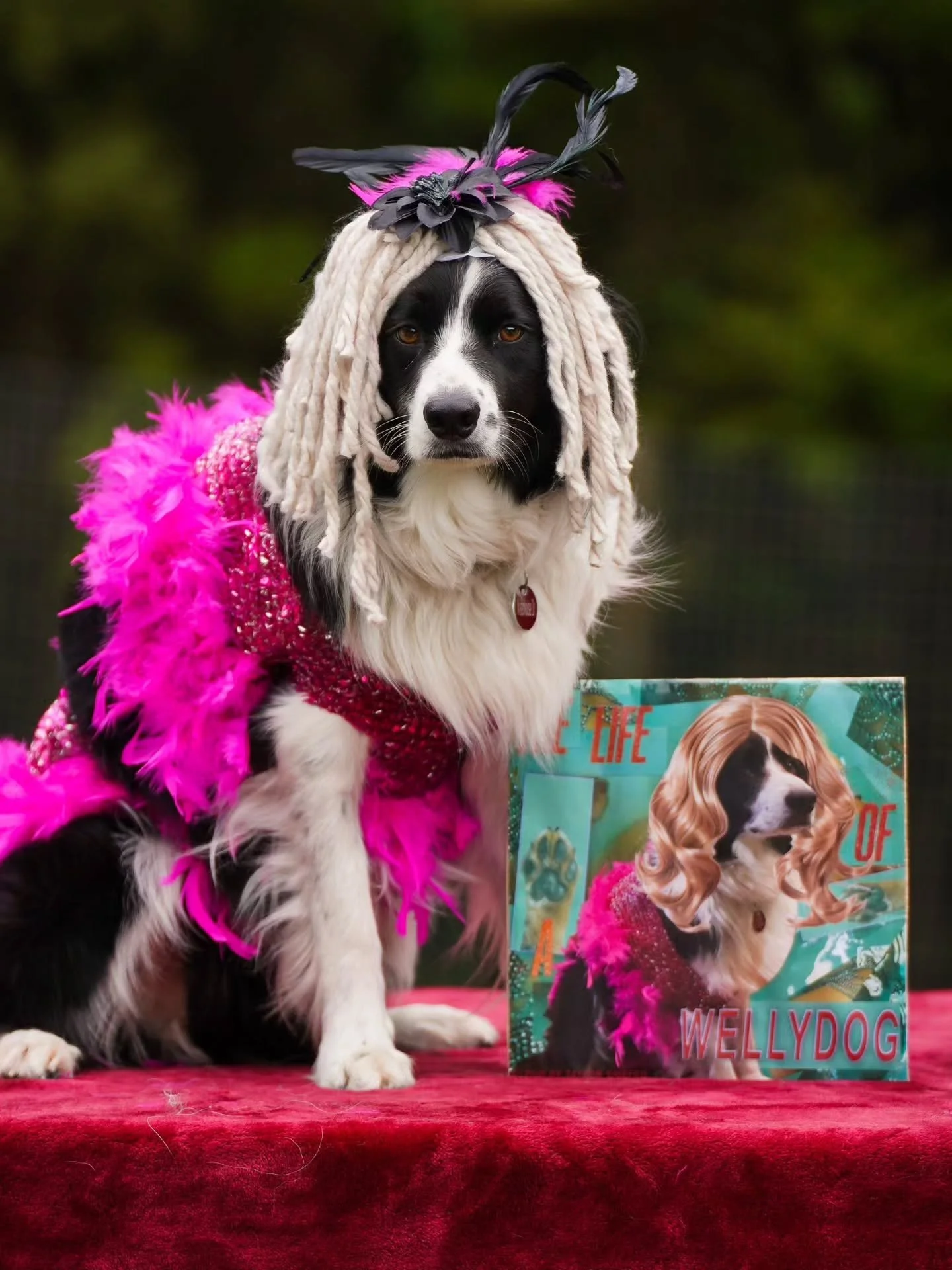 Halloweek 2025 has kick started!!! 🎃🐺🖤