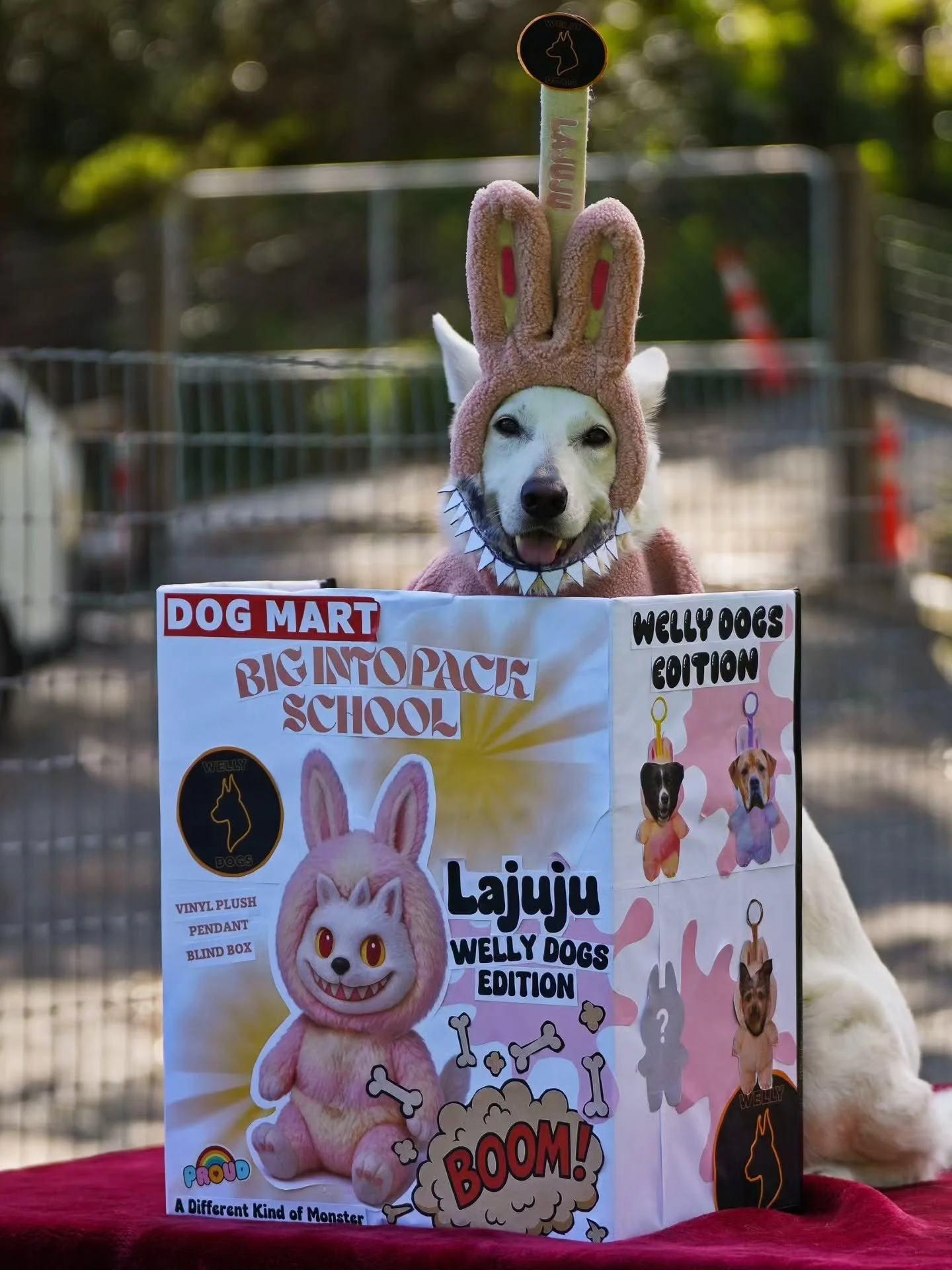 We had some HEAVY hitters for Thursday Halloweek!!! 🧟&zwj;♂️👻

#halloween #halloweencostume #dogsofnewzealand #dogdaycare #dogsofwellington