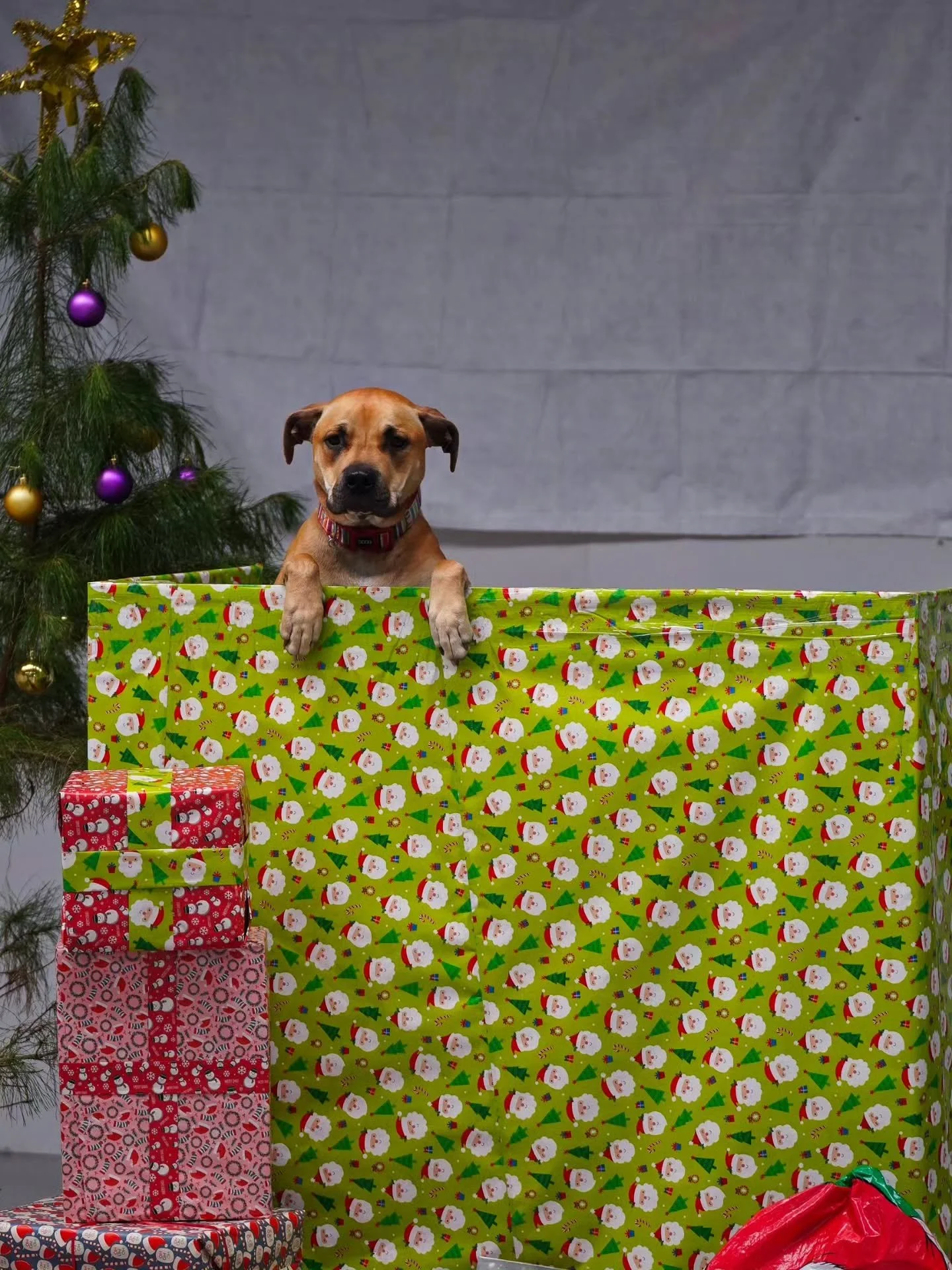 Welly Christmas!!! 
Thank you to everyone who kindly got us gifts!