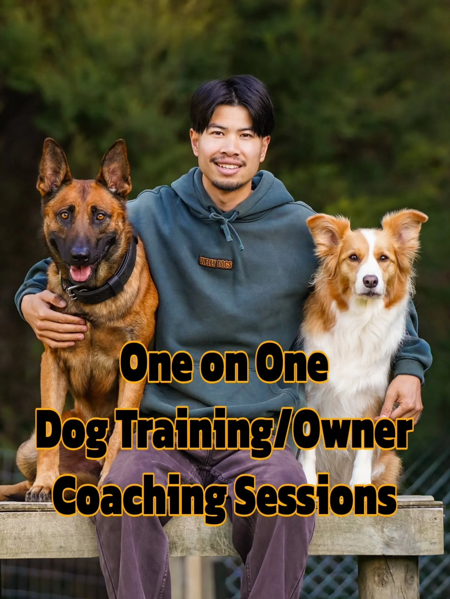 Dog Training/Owner Coaching 🐾🐾

In response to enquiries I&rsquo;ve had, I&rsquo;m now officially offering dog training/owner coaching.&nbsp;

Sessions are tailored to both the dog and owner - Covering: Recall &bull; Lead walking &bull; Engagement 