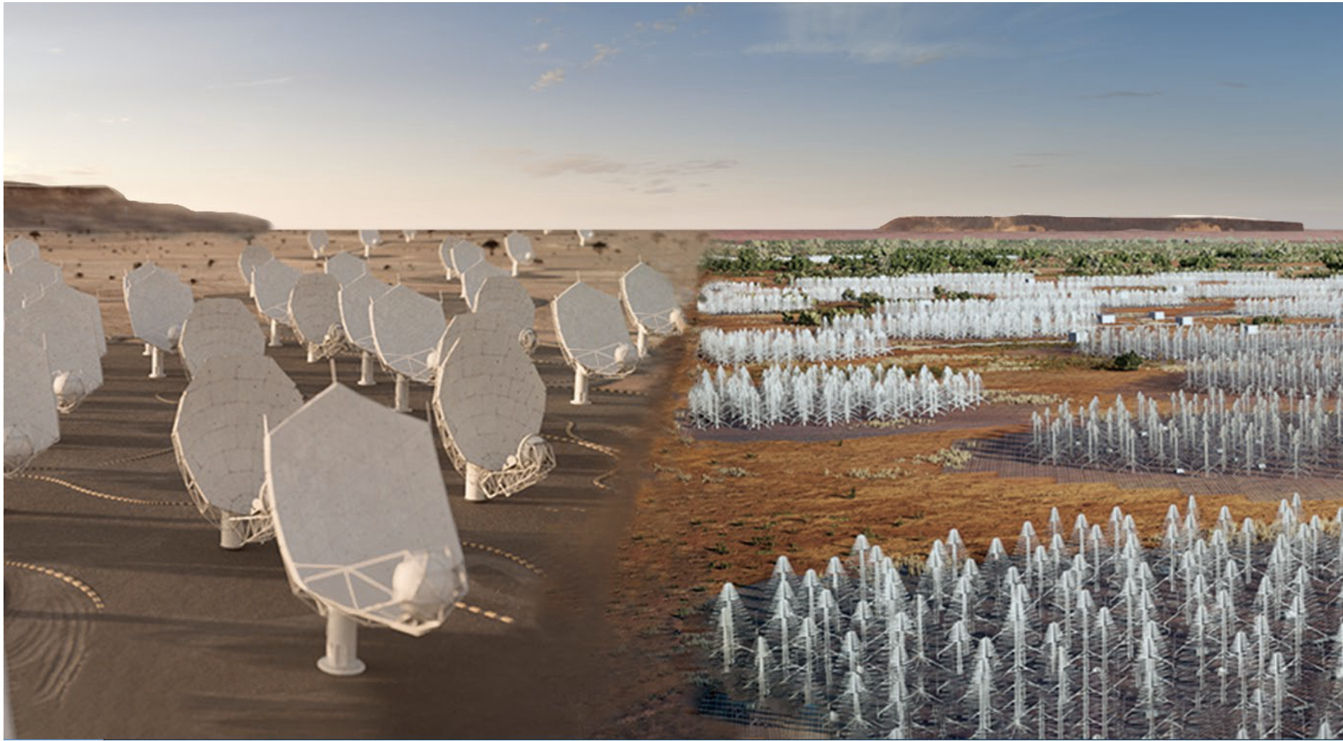 Canadian technology contributions to the Square Kilometre Array