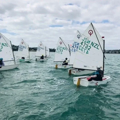 LTYC Sailors Deliver Strong Results at Junior Sail Auckland 2026