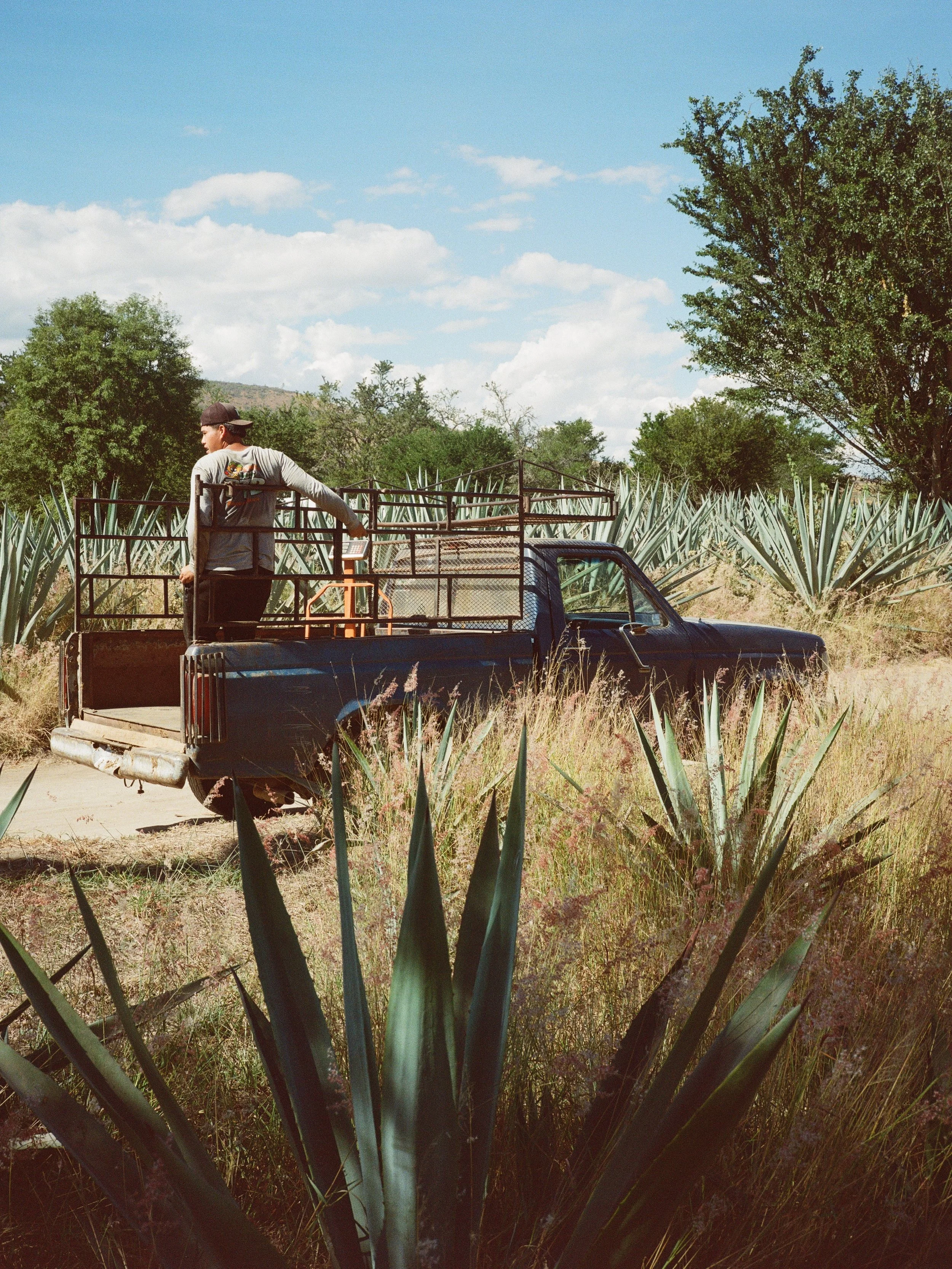 OAXACA, MEXICO. 2025 

📷: @cccccclaytonciolac
