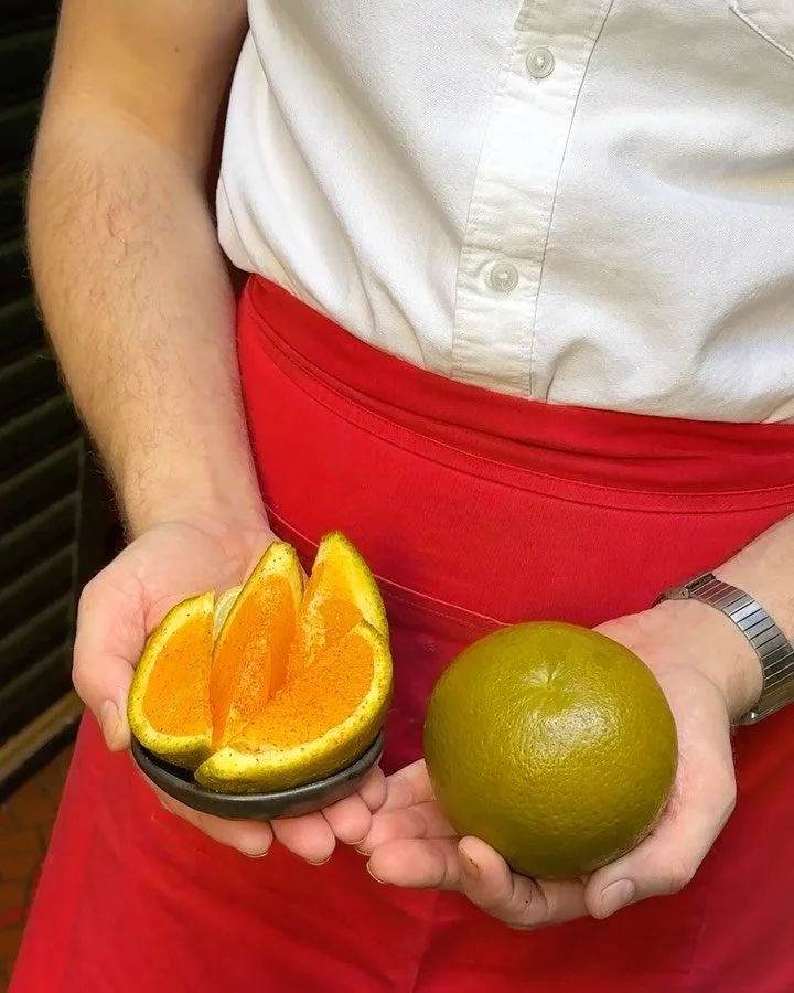 FRUIT! Dolci Oranges

Served with mezcal.

Try Now!

#CantinaOK