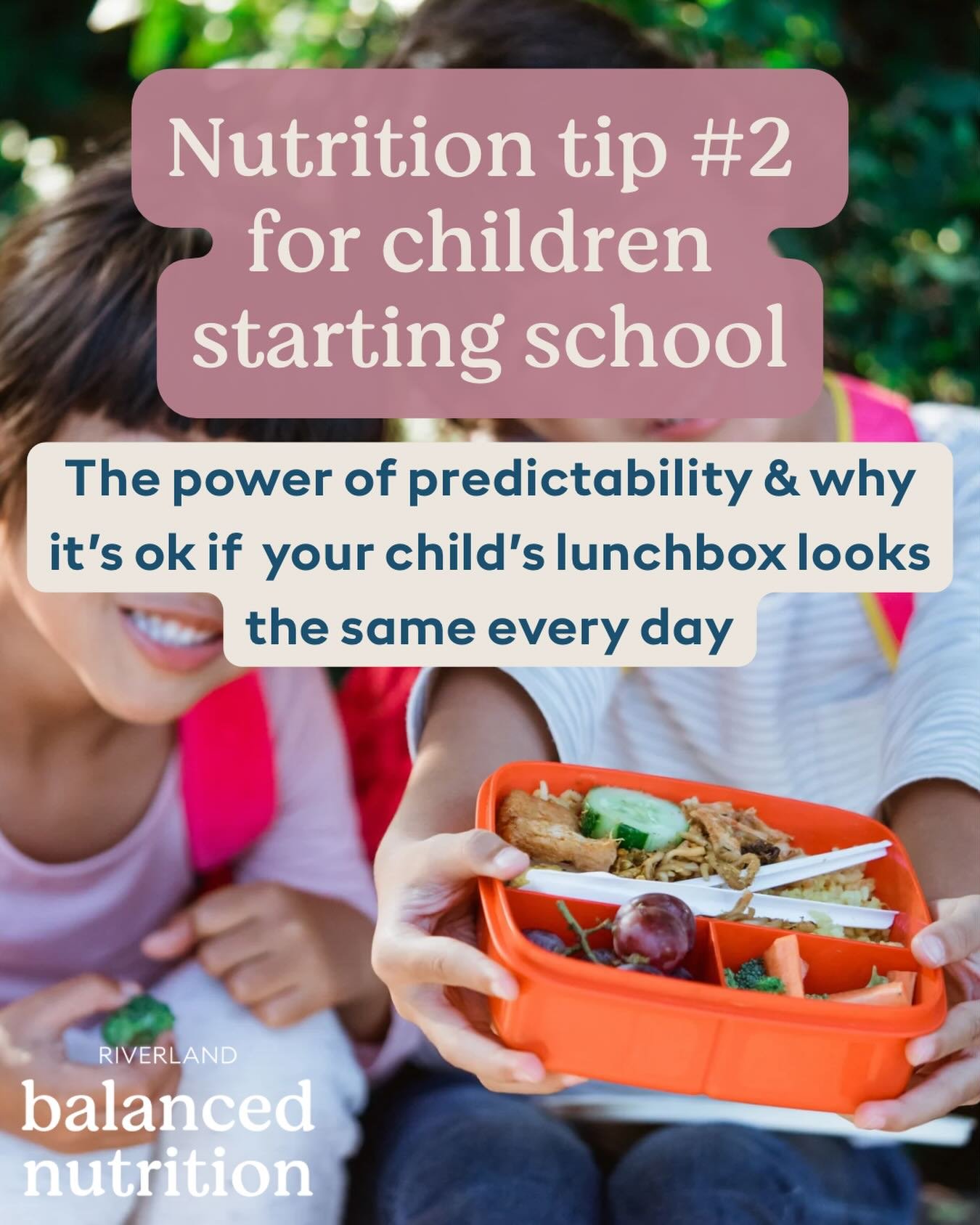 In the First Term, Familiar Food Is a Feature, Not a Failure

Starting school or kindy comes with a lot of change for kids.

New environment.
New routines.
New expectations.
New people.

That&rsquo;s a big adjustment, even for confident children.

Wh