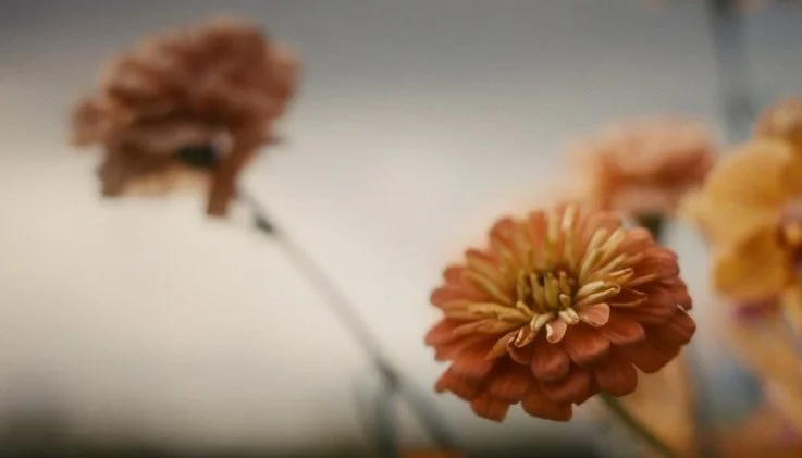 K + P ✨

Collaborators:
@stephanboekerfilms @roamelopement @hotelwailea
@stephaniebetsill @giovannabridal @kaulikemusic @djdanmaui
@lulaleihawaii