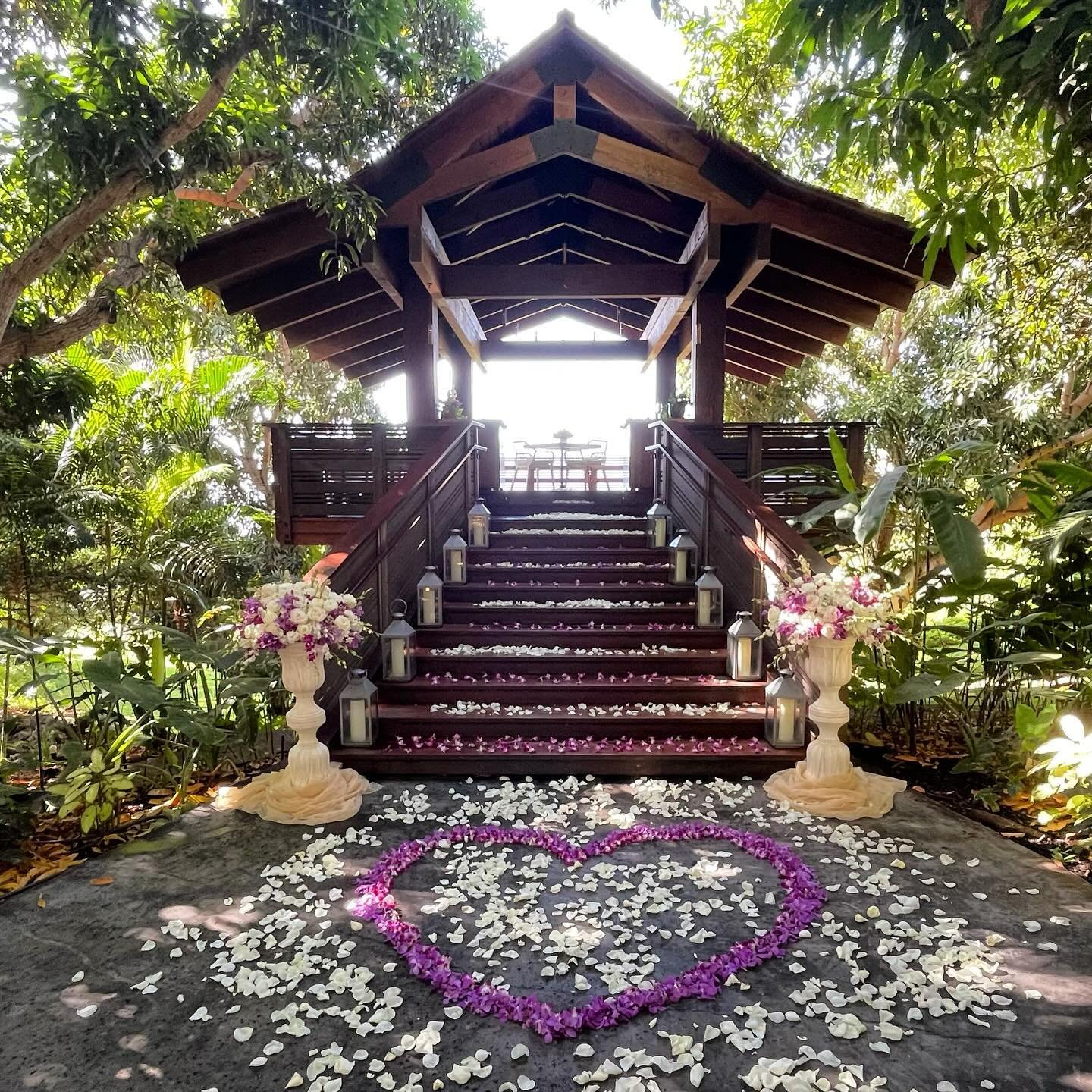 Magical treehouse engagement ✨✨
.
.
.
#treehousemaui #hotelwailea #therestaurantmaui #hotelwaileamaui #treehouseexperience #mauiengagment #mauiflorist #lulaleihawaii