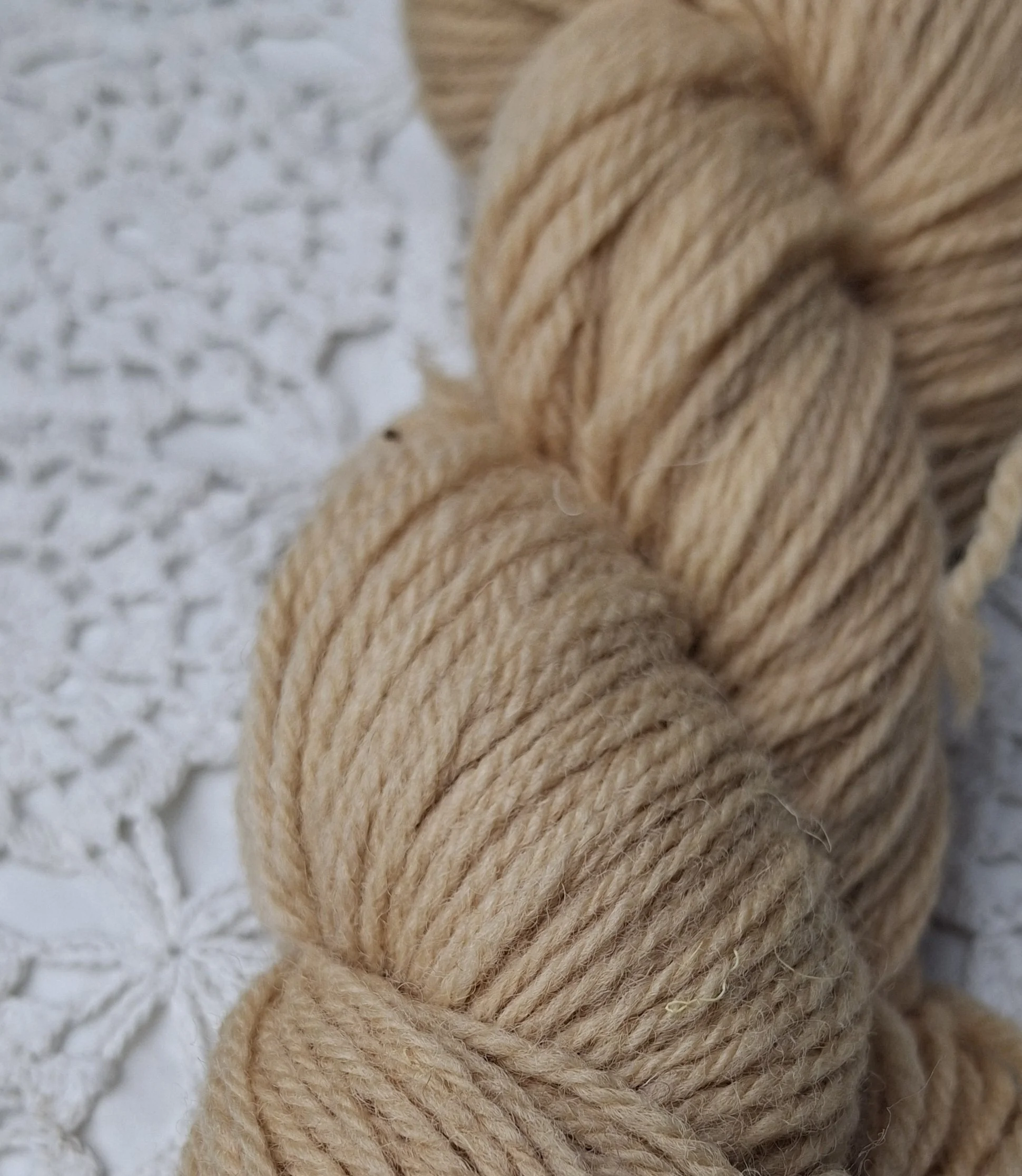 'Equinox' Hand dyed white faced woodland, 100g DK weight, pure wool