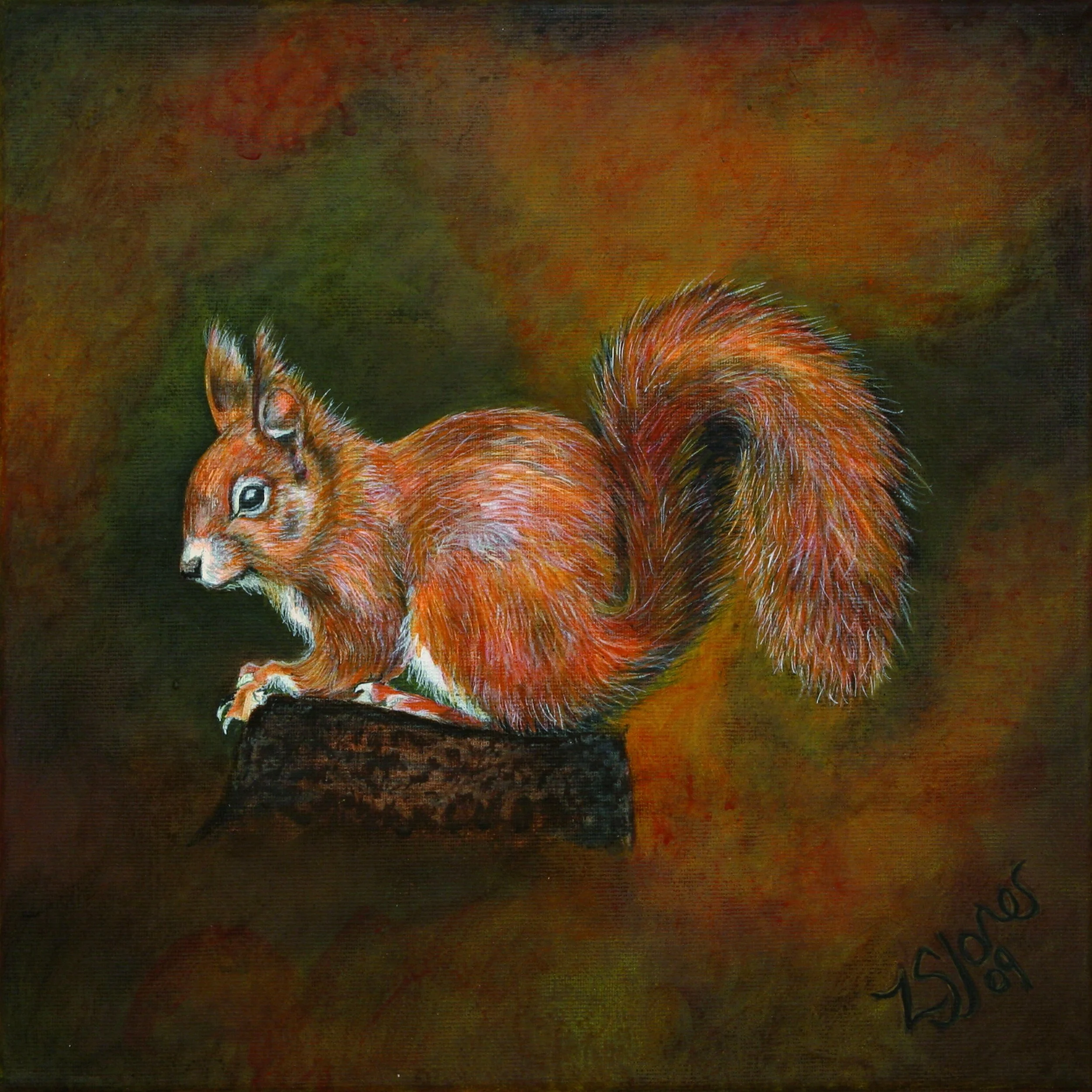 Red Squirrel.jpg
