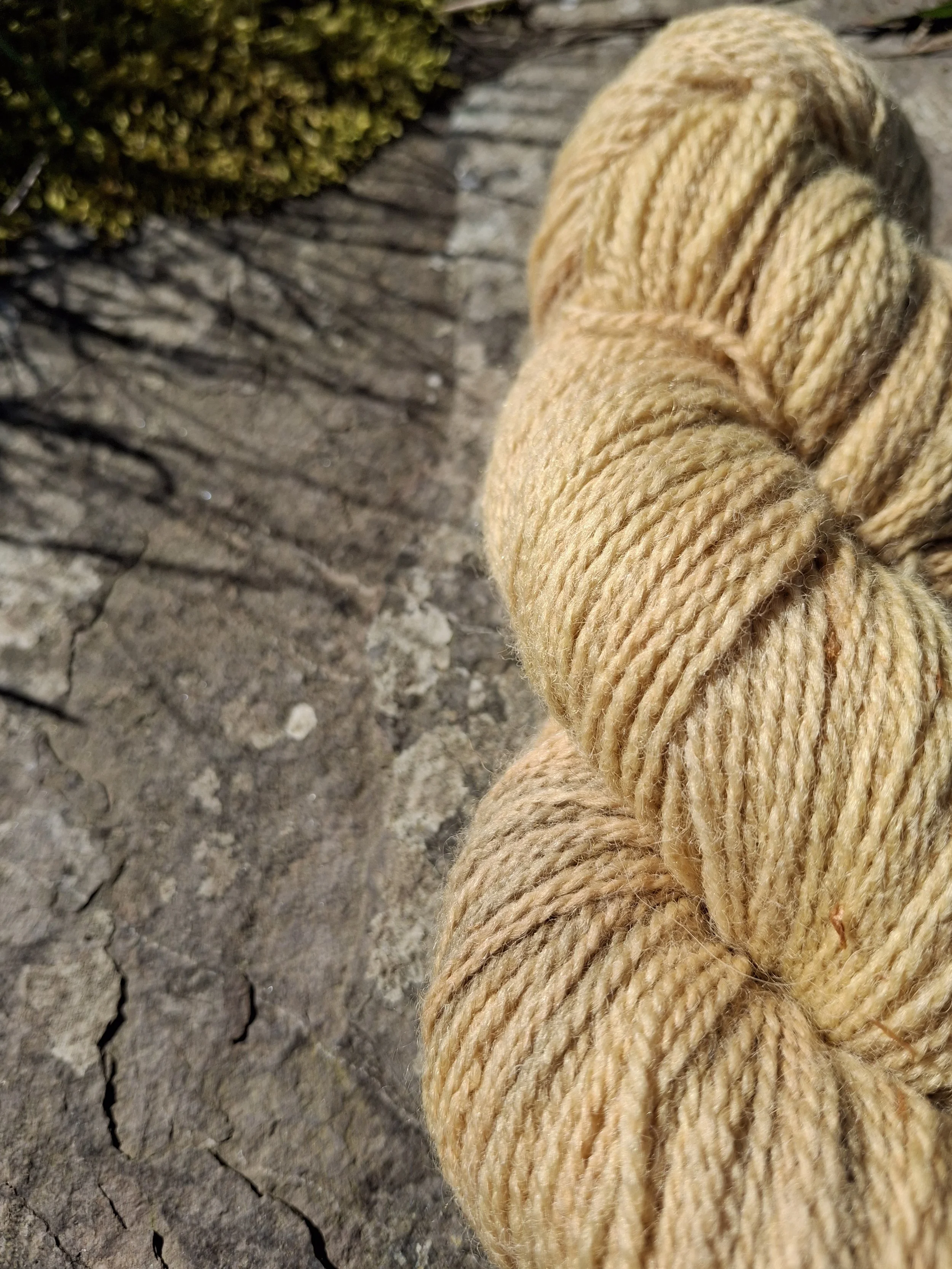 Sunset over Brodgar (5) 100% Jacob 4 ply, 100g pure wool.