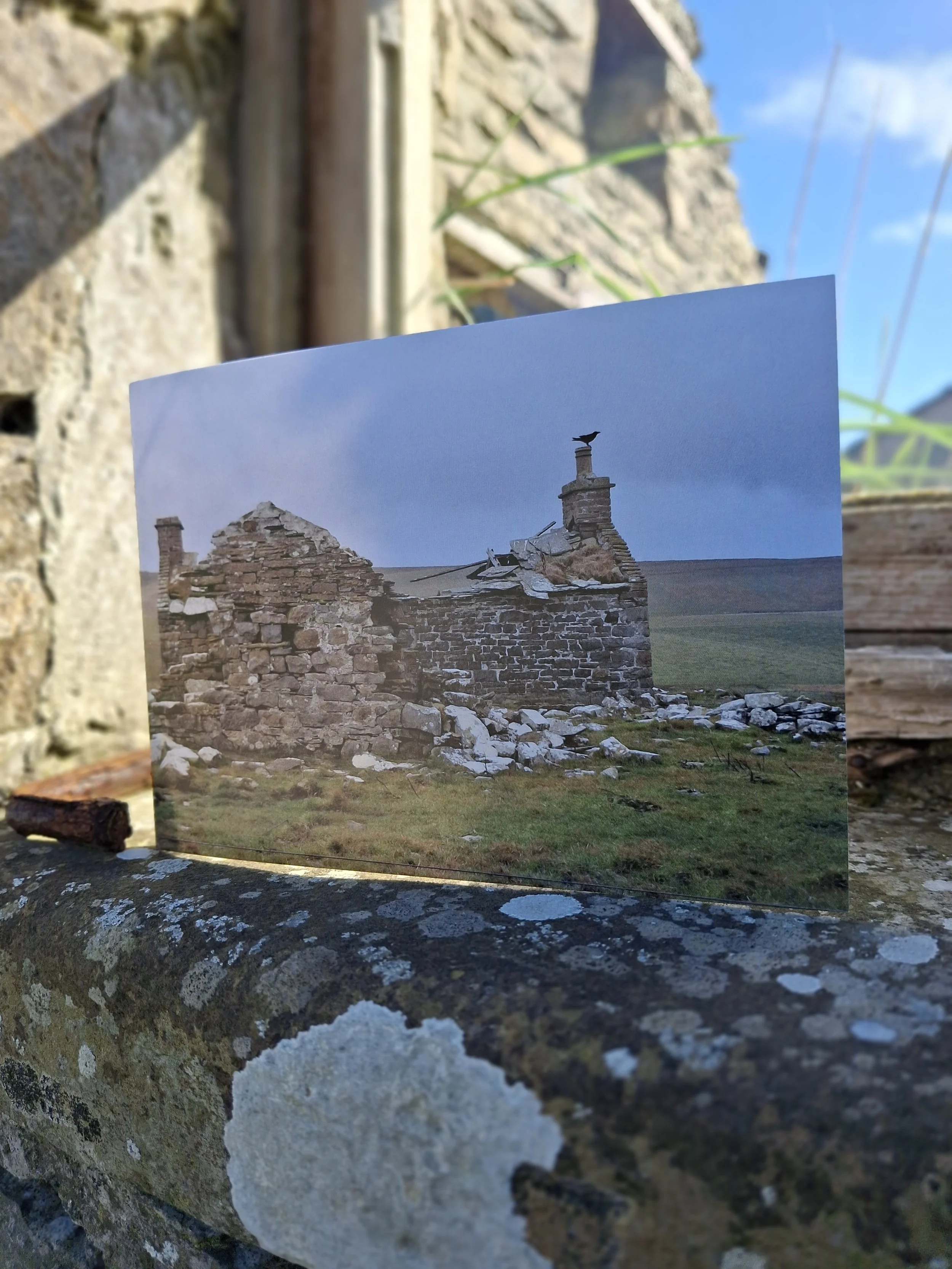 Orkney ruins-Raven calling