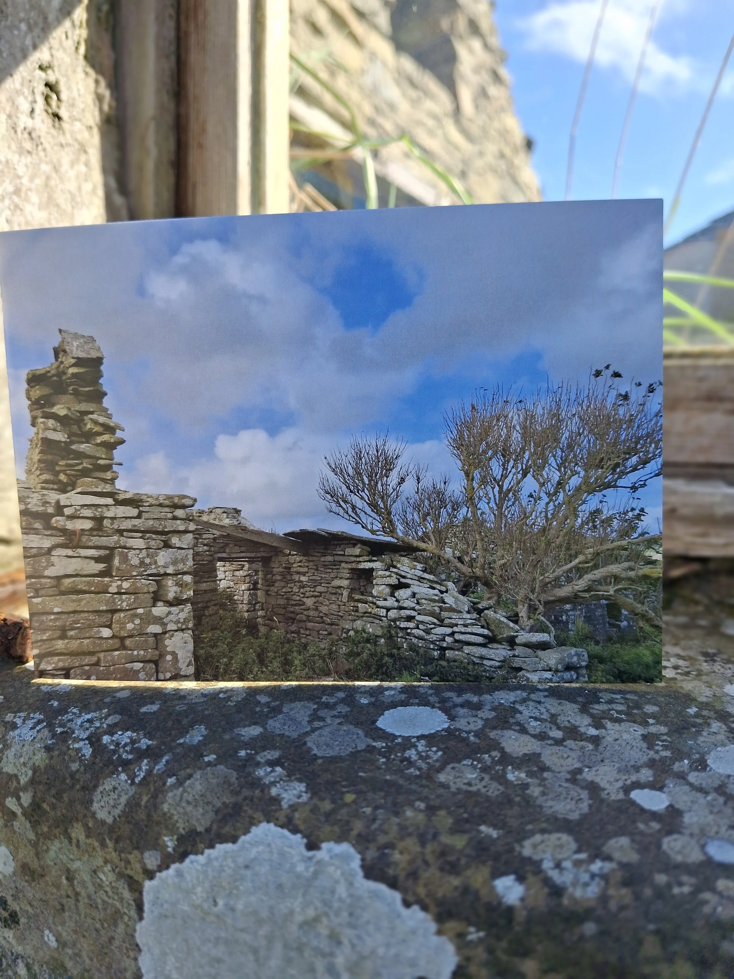 Orkney ruins-Elder