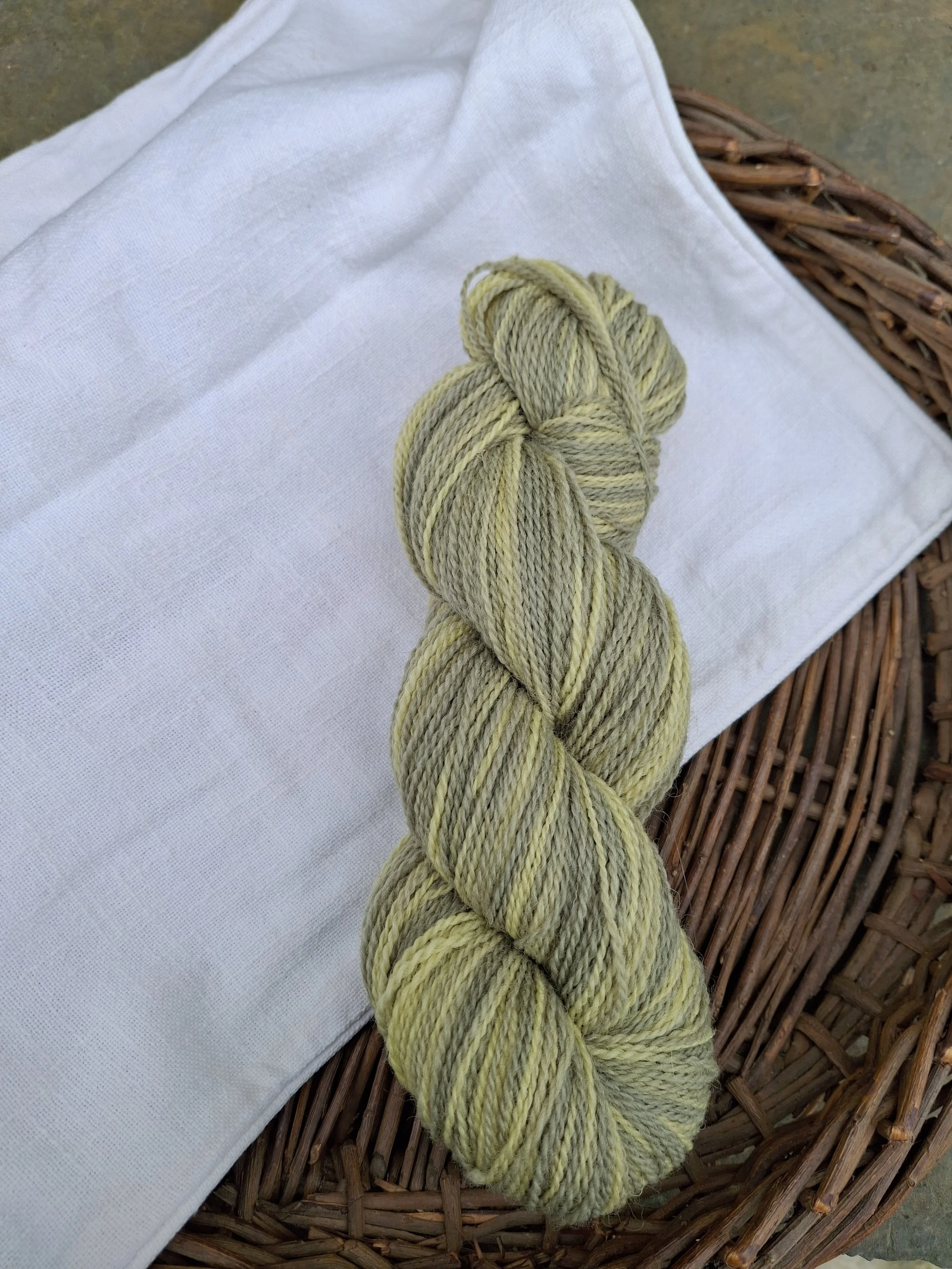 Sage 3, variegated. 100% wool, 4 ply Jacob