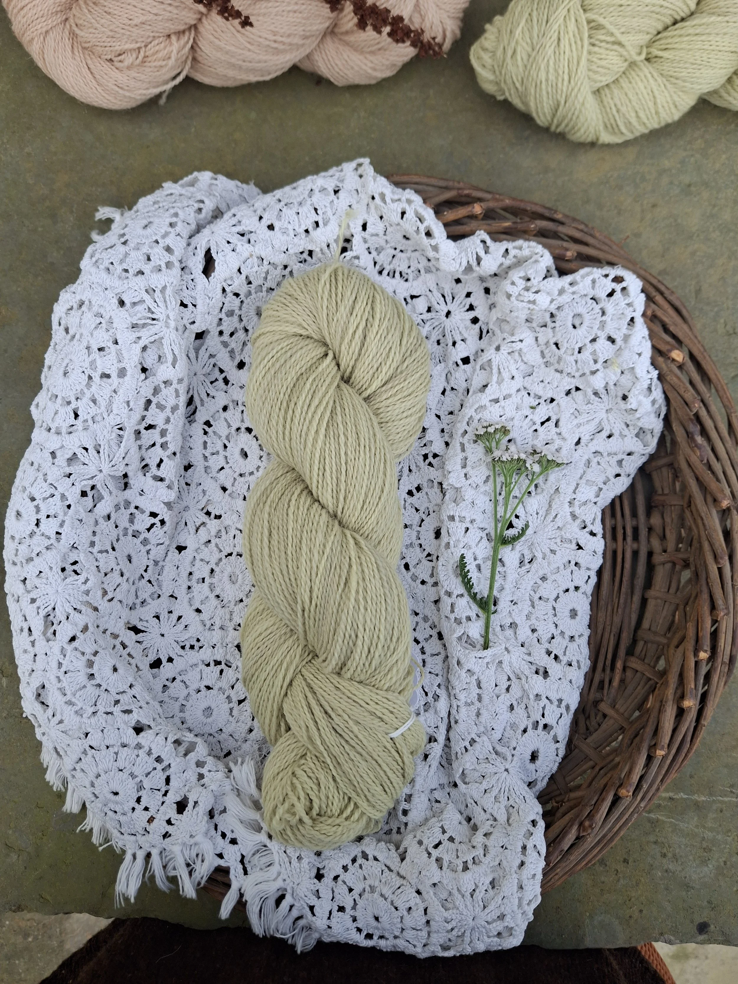 Yarrow (mid) 100% 4 ply Jacob, 100g pure wool