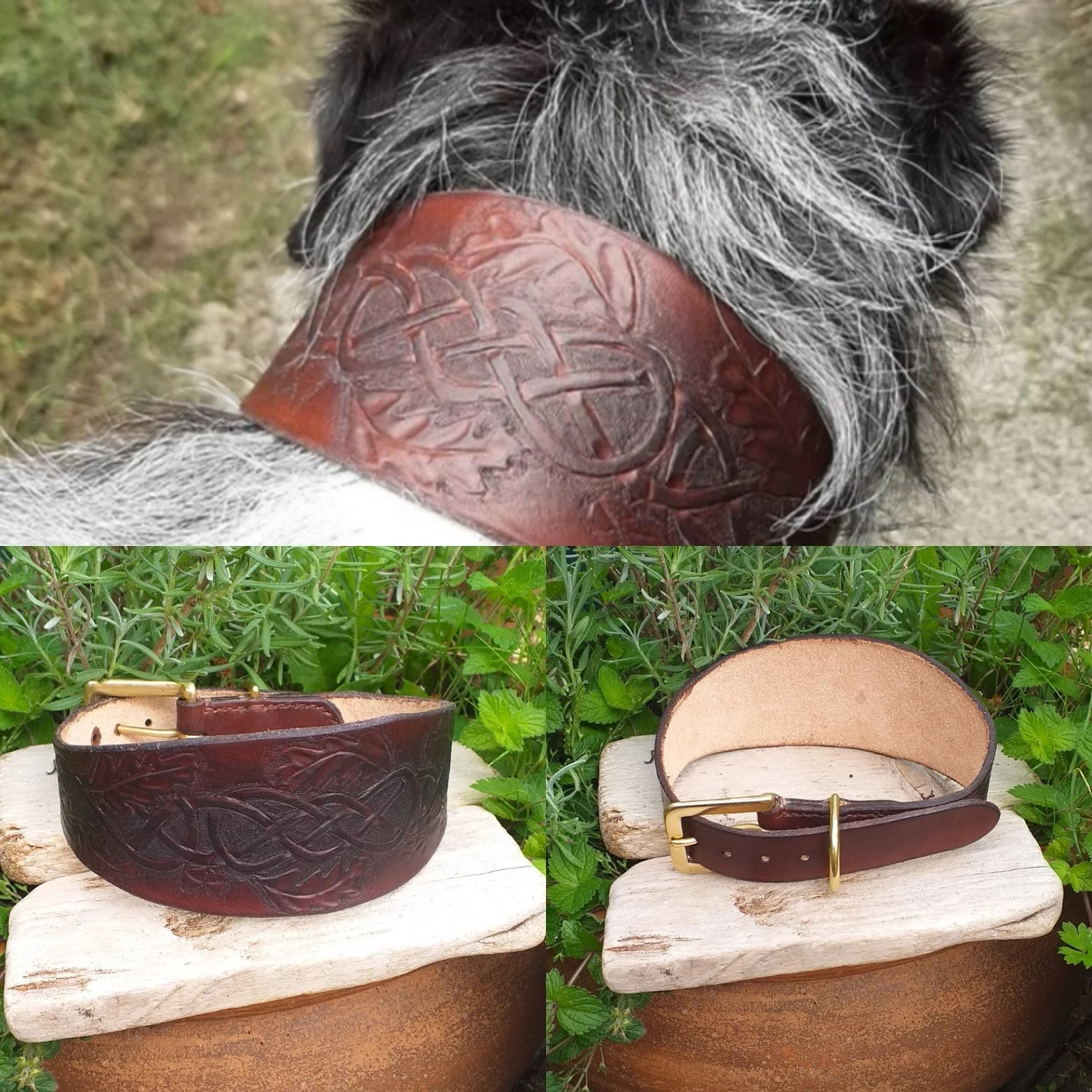Embossed hound collar