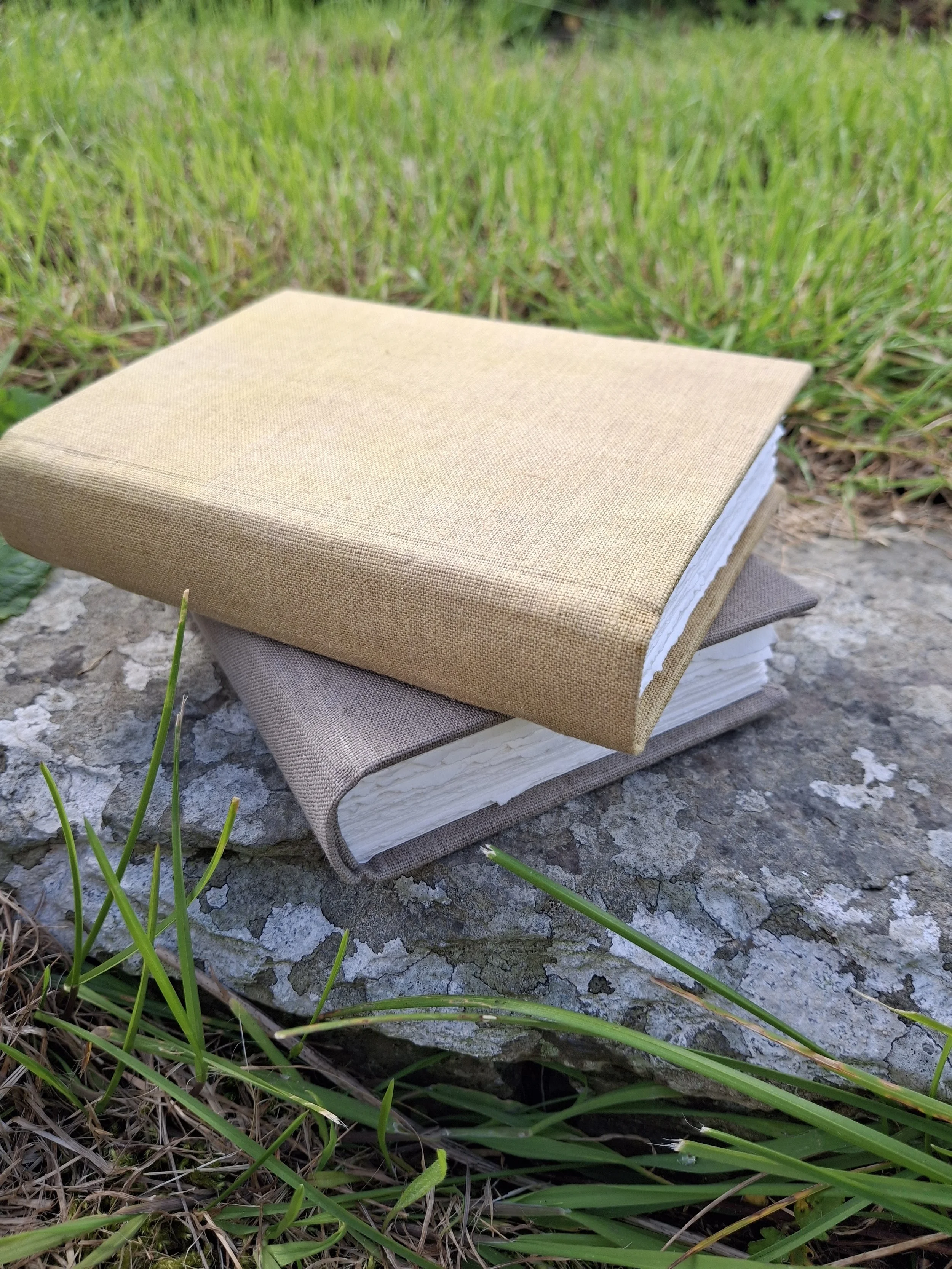 Linen book-Dochen/Docken/Rumex