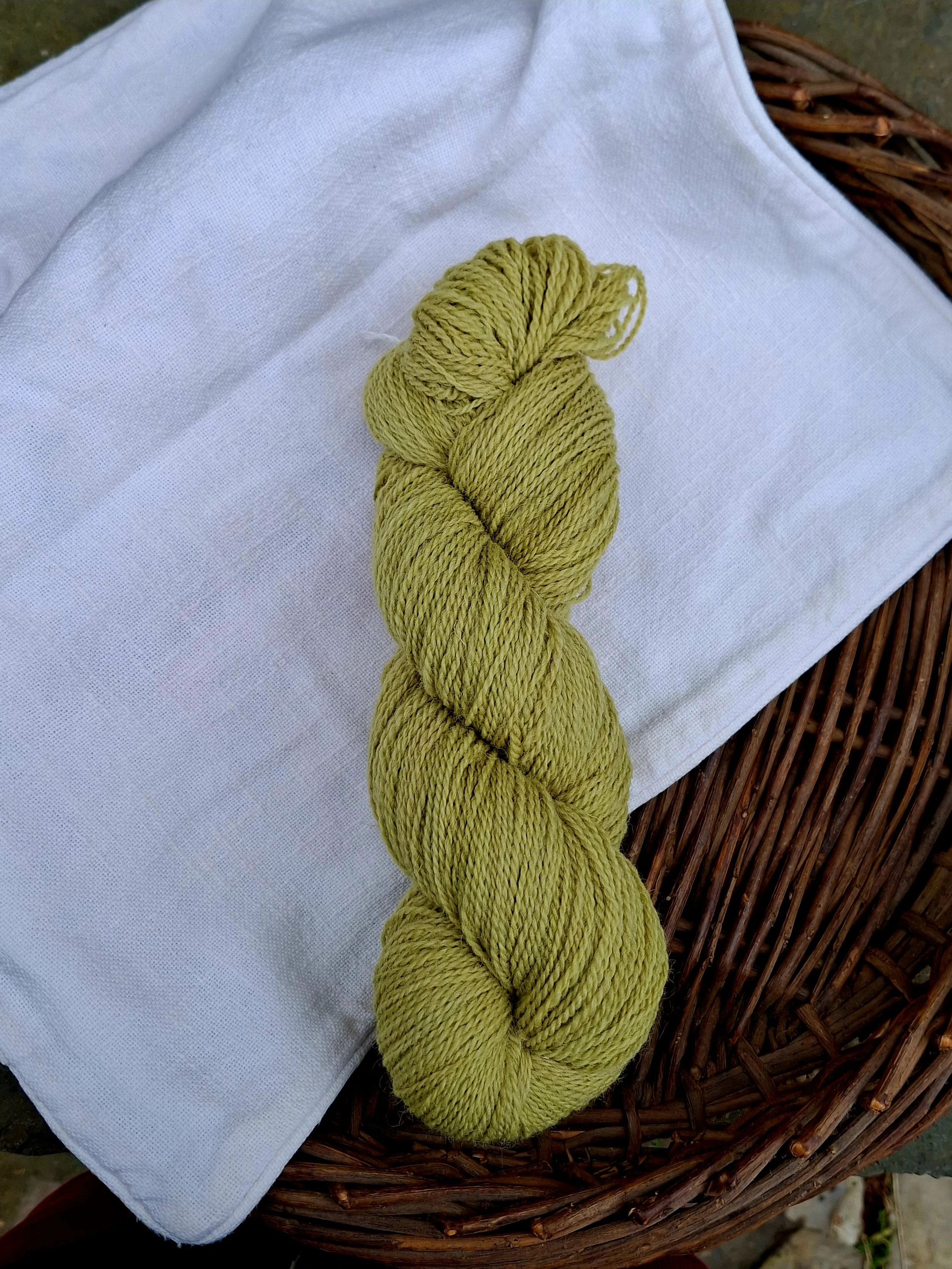 Sage 12 (mid green) 100% pure Jacob wool, 100g 4 ply