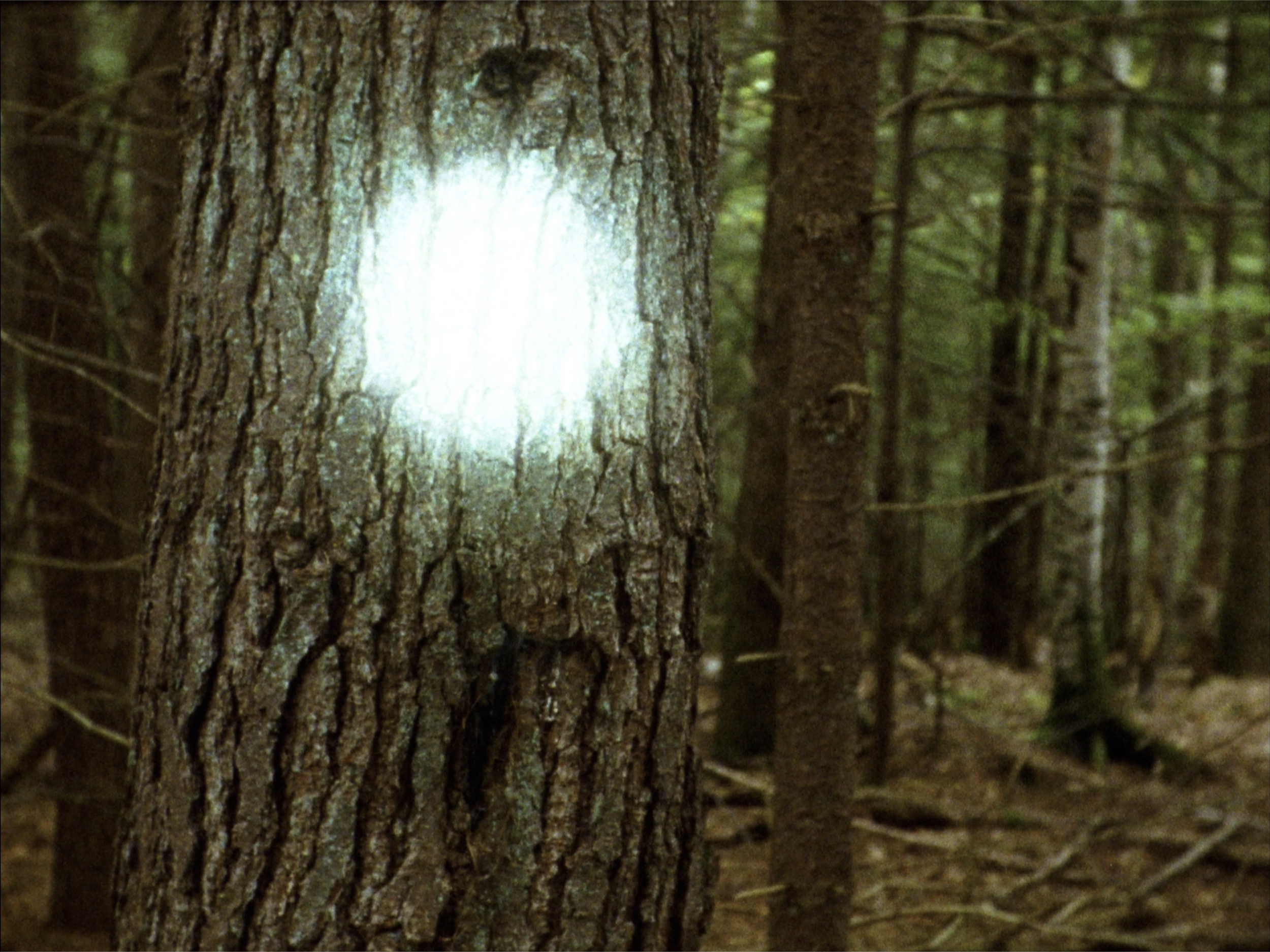 Caminhos que se Bifurcam | post-production