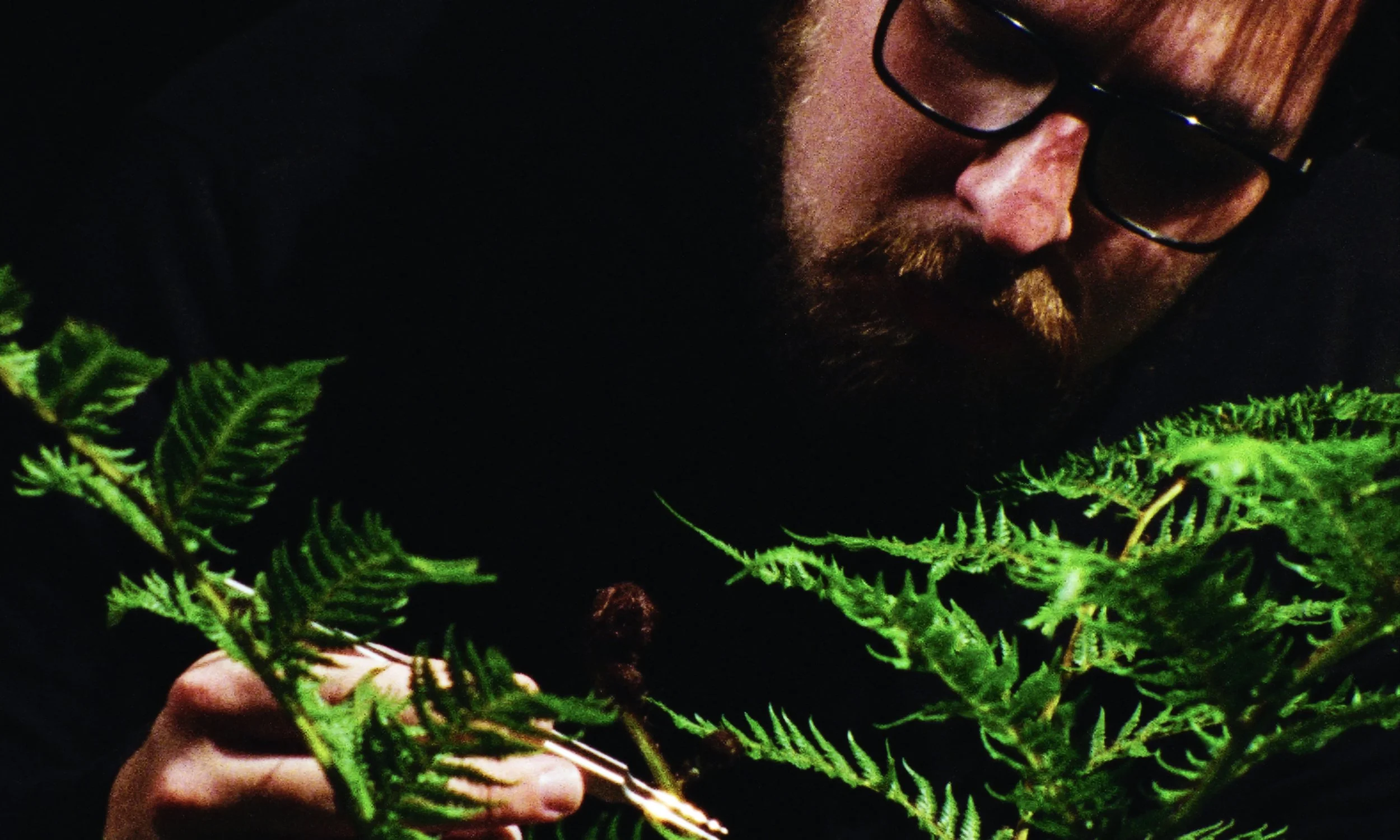 Screenshot 2026-03-02 at 16.13.53.jpeg