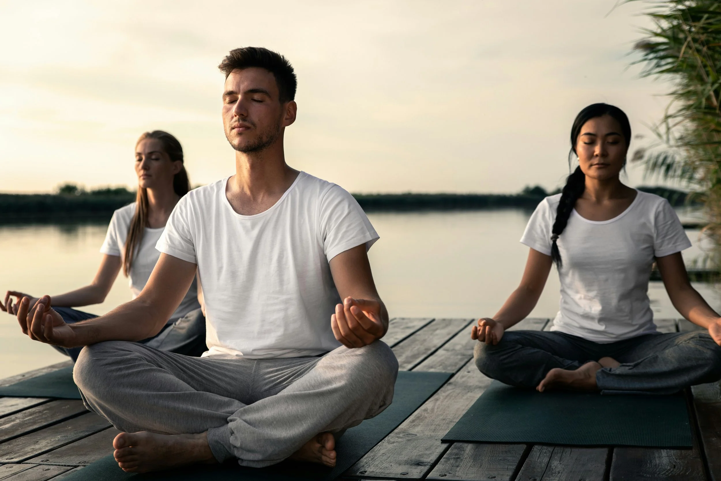 Why Meditate?