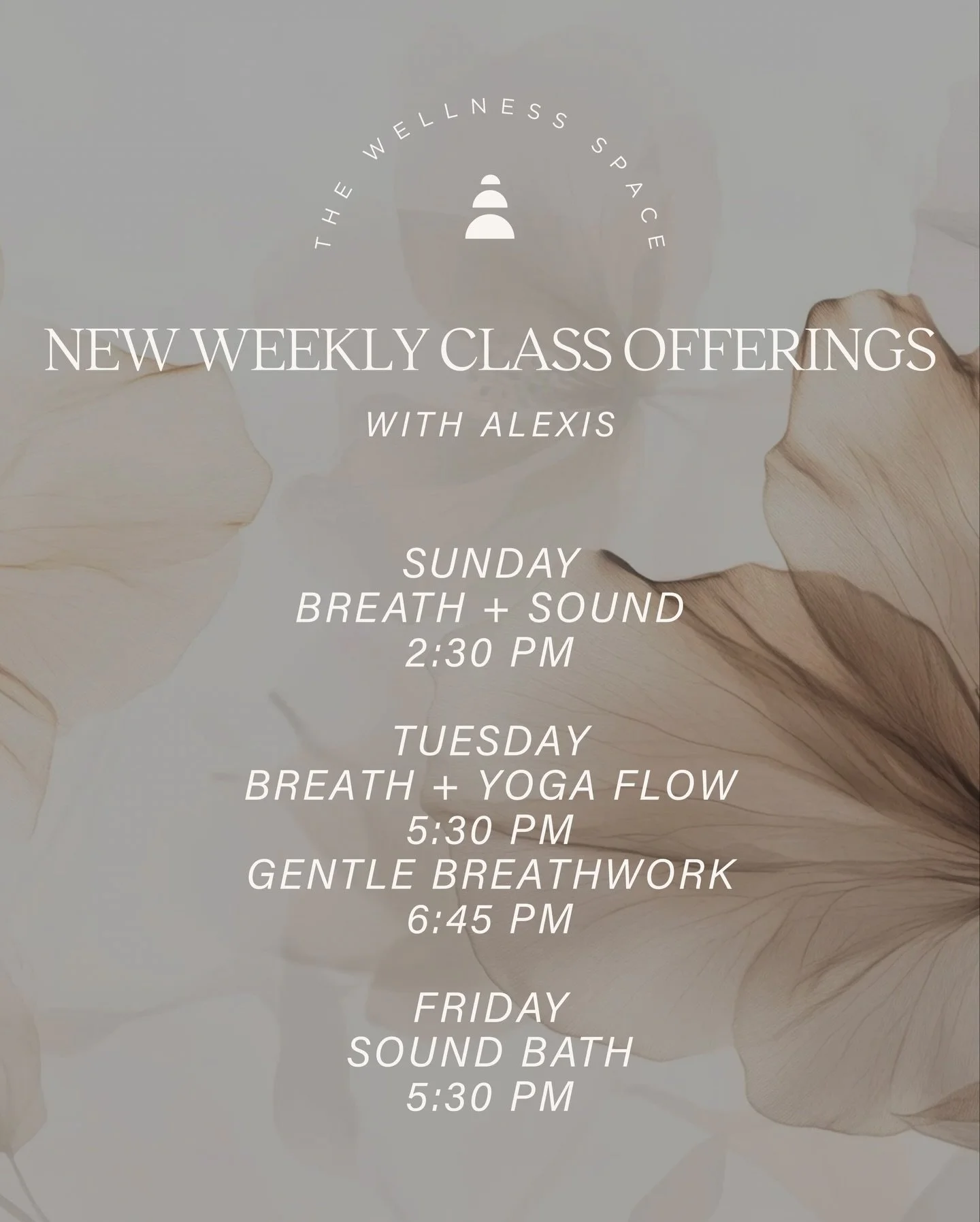 NEW class offerings! ✨

Reserve your space at thewellness-space.com 🕊️
First class is free with code FIRSTCLASS