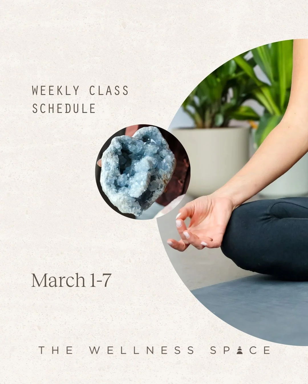 March is around the corner! A beautiful time to reset your rhythm, or try something new 🌙

Join us this week at The Wellness Space.
Drop in for a class or try our Week of Wellness: unlimited classes + a free red light session for just $48!

Book now