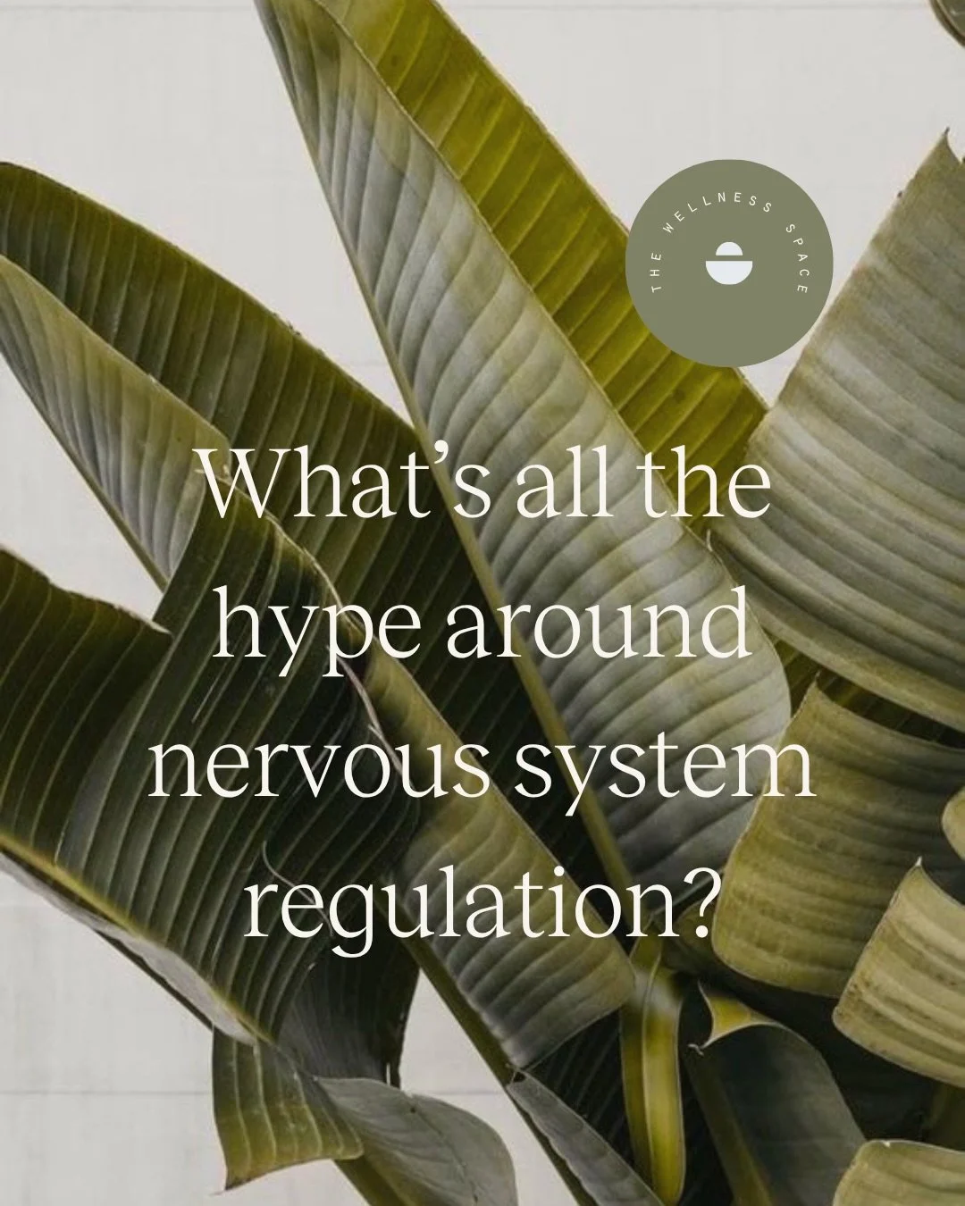 So what&rsquo;s all the hype around nervous system regulation?

It&rsquo;s the difference between feeling overwhelmed and feeling like yourself again and so much more. 

And it&rsquo;s something you can practice daily with us! Every class at The Well