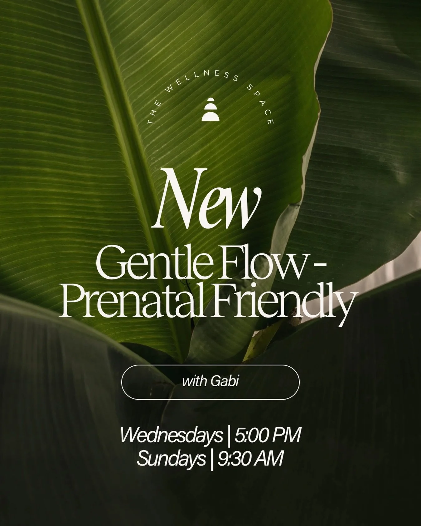 A small schedule update 🤍

Our Prenatal Yoga class is becoming Gentle Flow Yoga specific to being prenatal friendly. All of our Gentle Flow and Yoga + Meditation classes are prenatal friendly, with modifications and support available throughout your