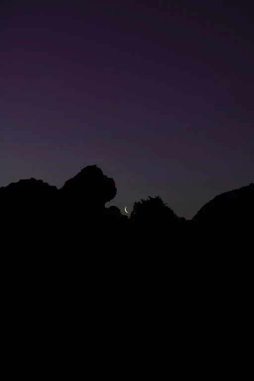 Letizia Le Fur 6.jpeg