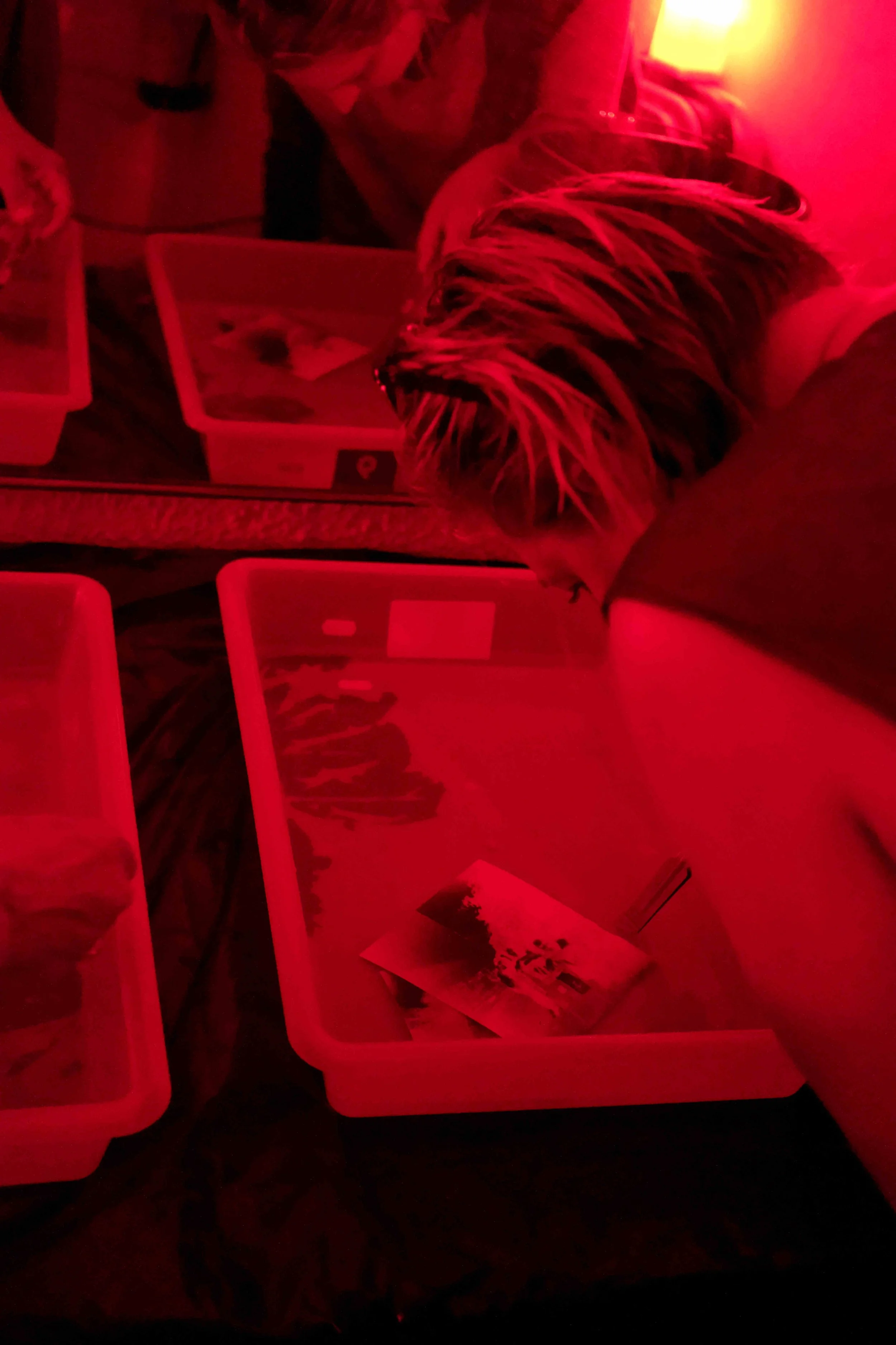 Pinhole Workshop © Celine Pilch (3).JPG