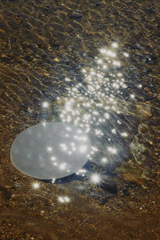 Letizia Le Fur 4.jpeg