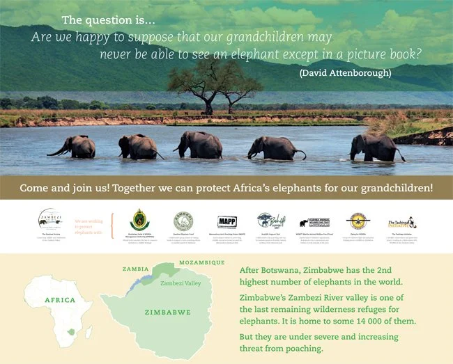 THE BULLETIN - DECEMBER 2016